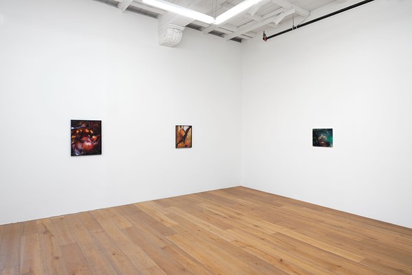 Image 7 of 24