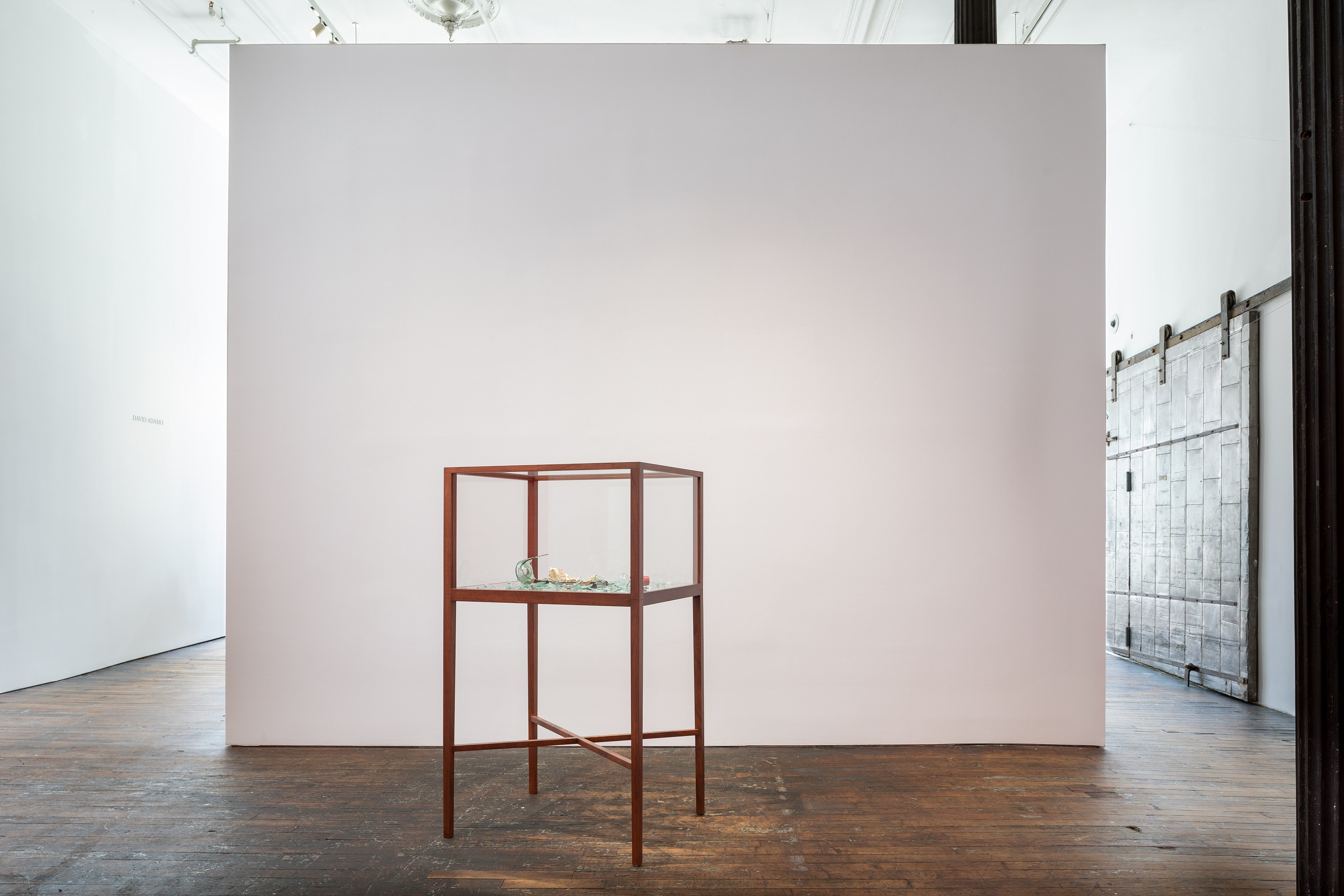 David Adamo, David Adamo at Peter Freeman, photo 3