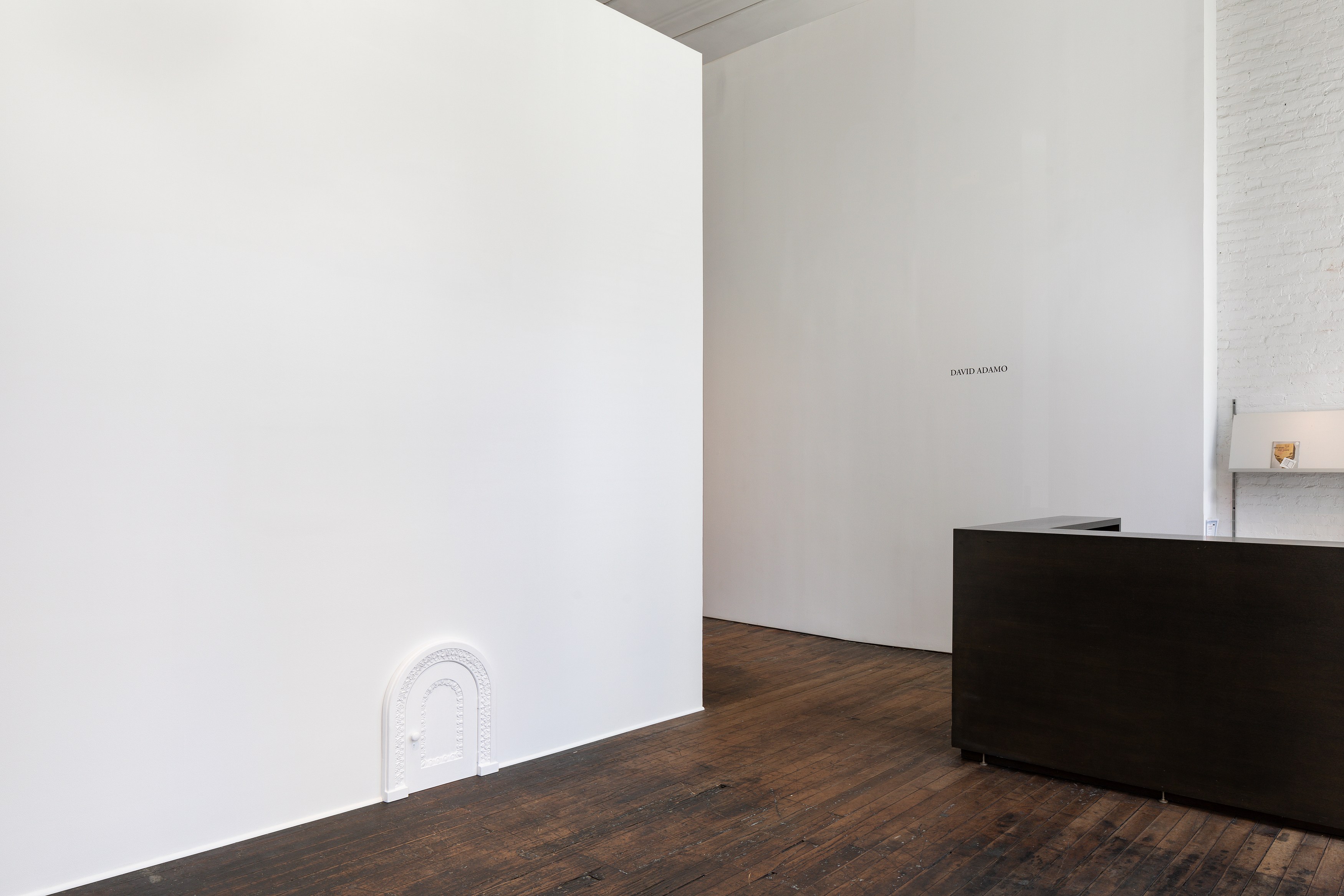 David Adamo, David Adamo at Peter Freeman, photo 2