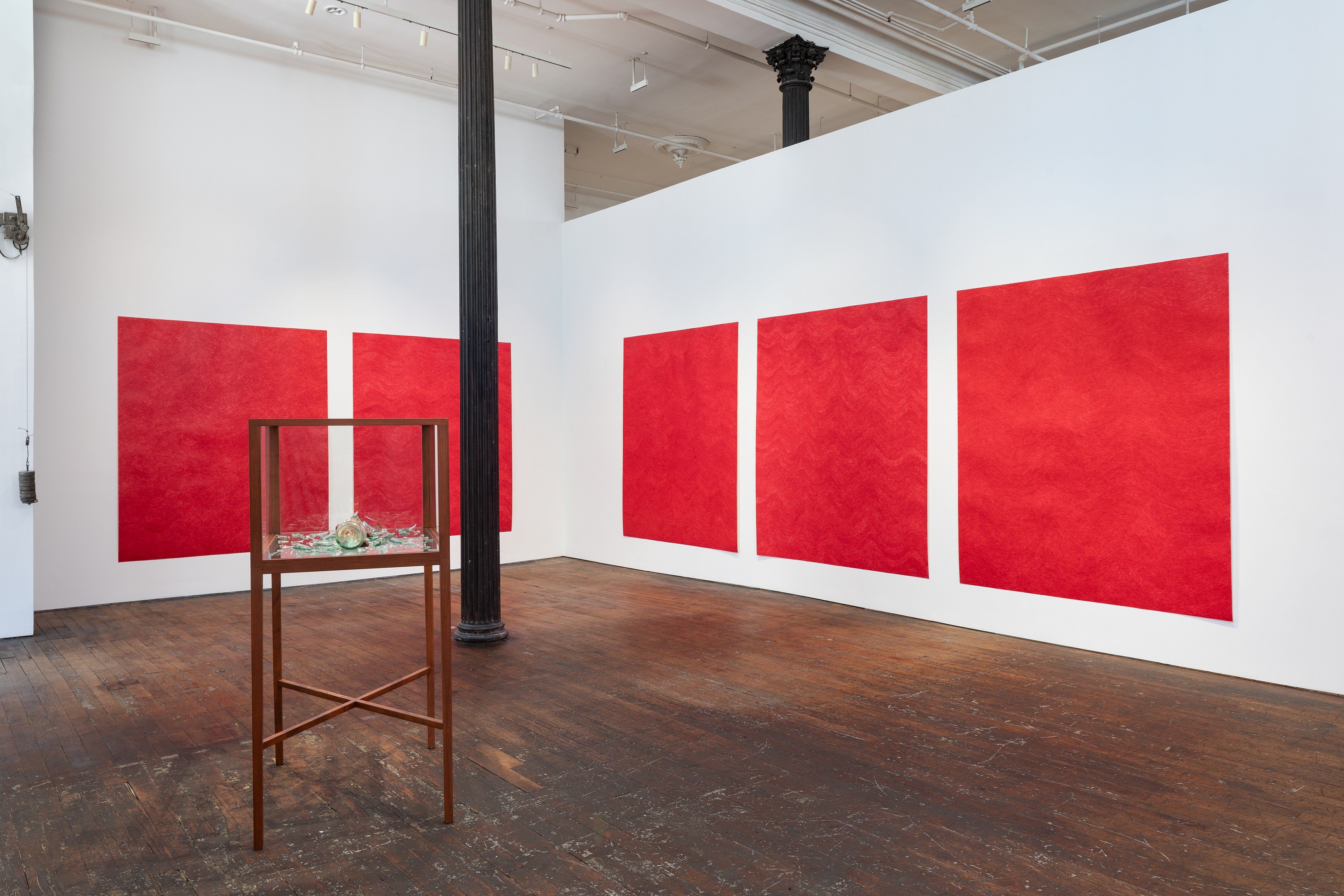 David Adamo, David Adamo at Peter Freeman, photo 4