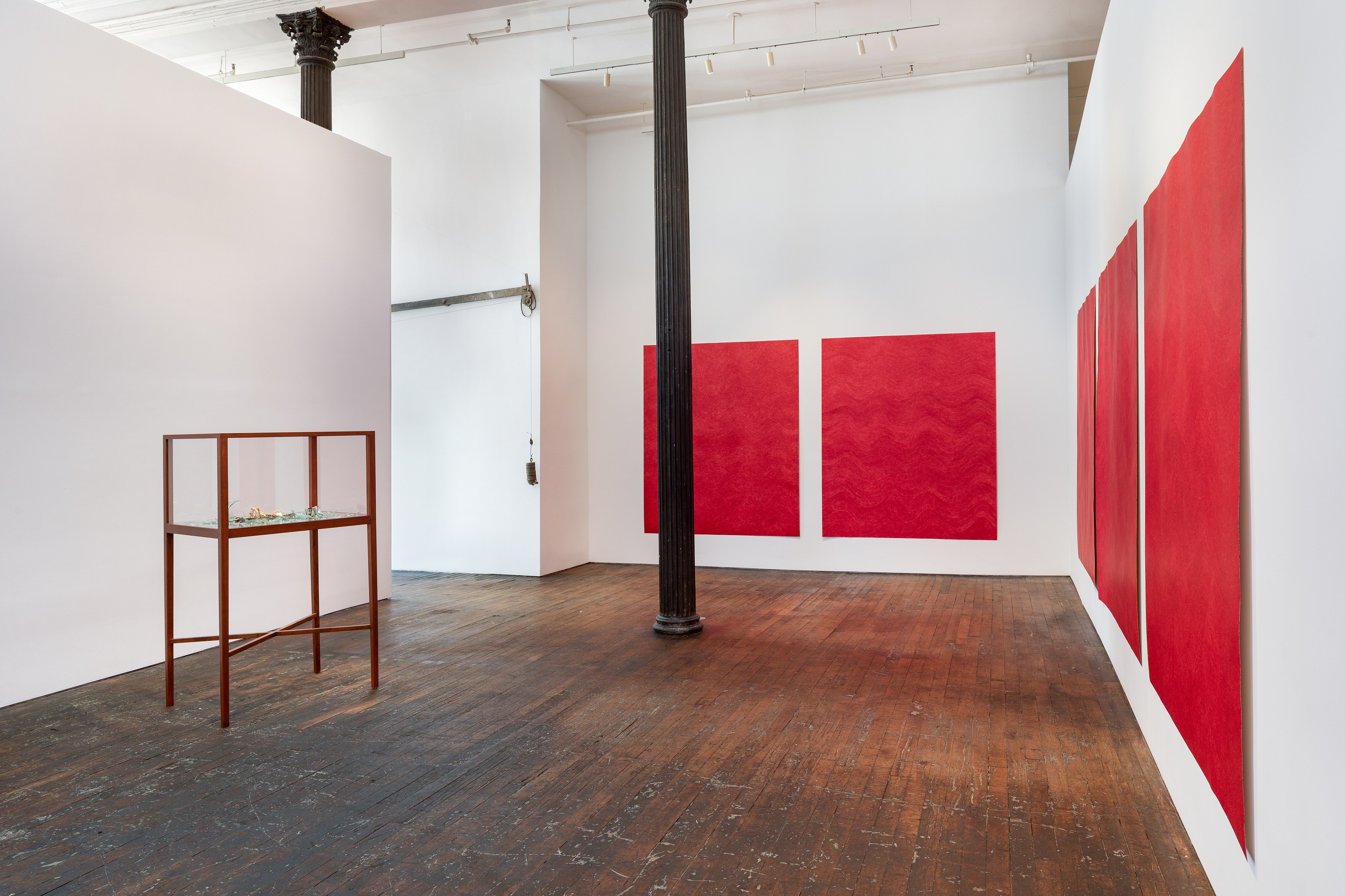 David Adamo, David Adamo at Peter Freeman, photo 5
