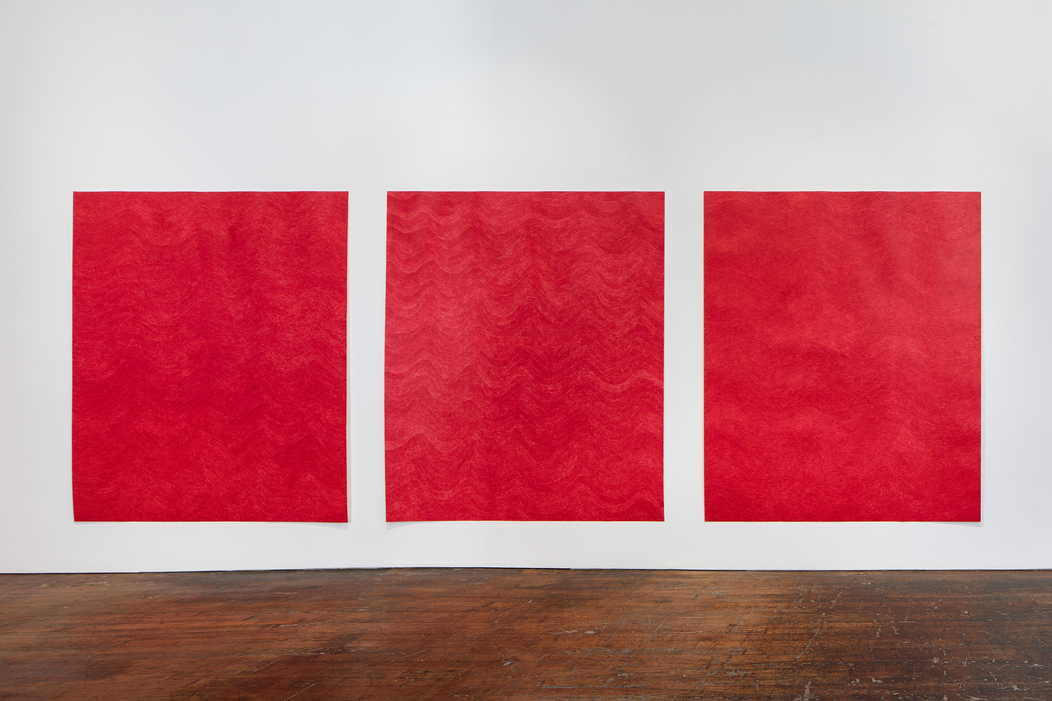 David Adamo, David Adamo at Peter Freeman, photo 6