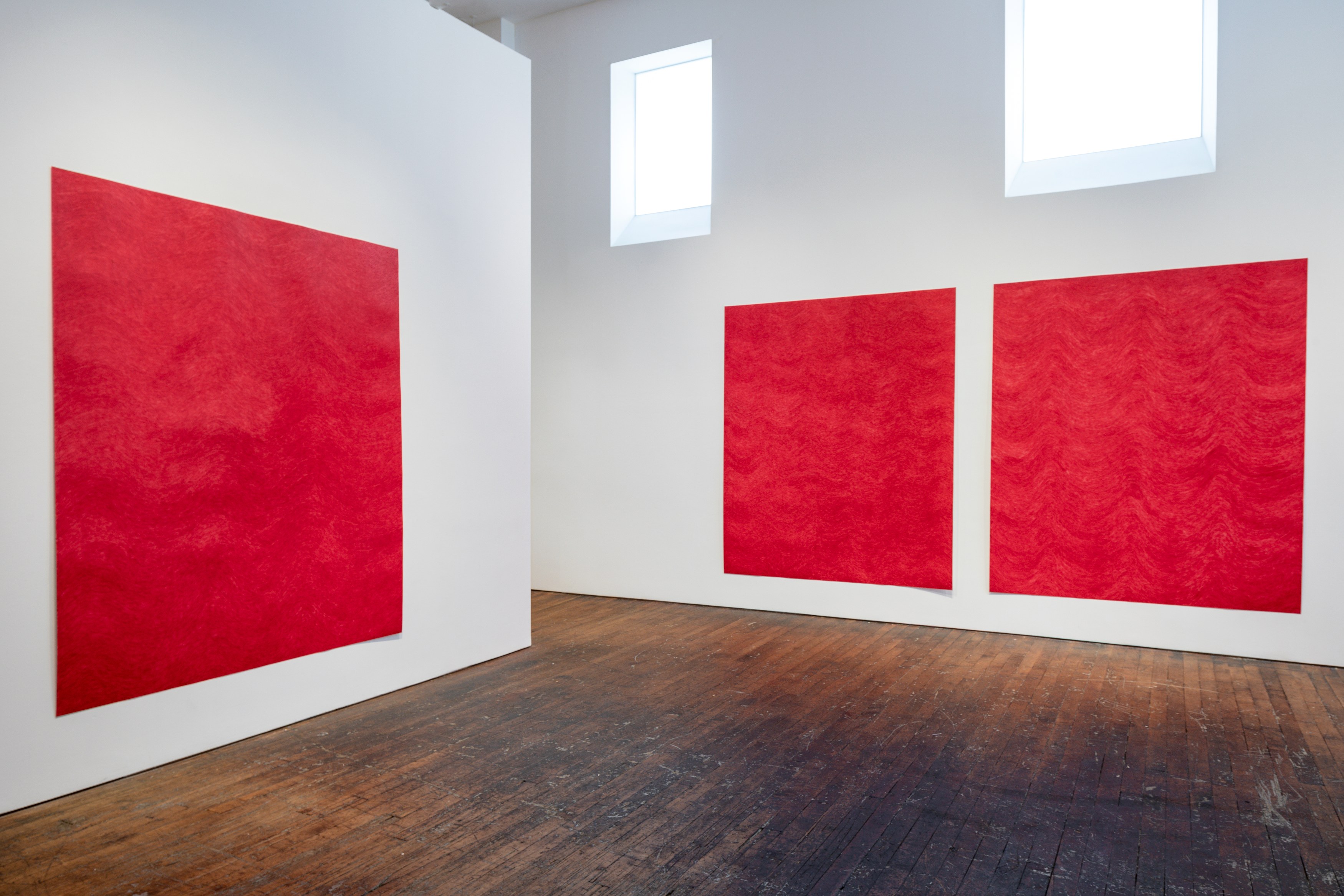 David Adamo, David Adamo at Peter Freeman, photo 7