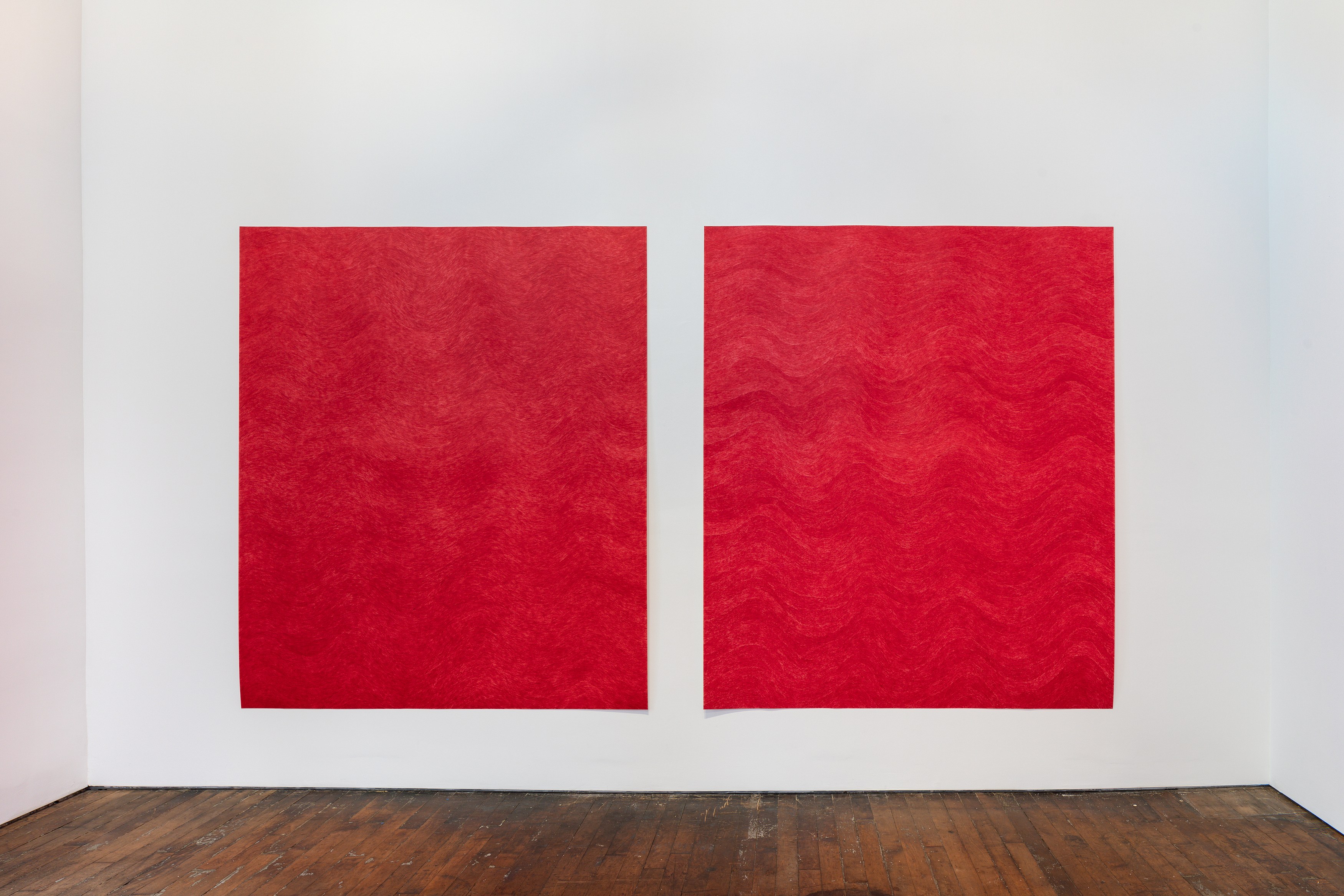 David Adamo, David Adamo at Peter Freeman, photo 8