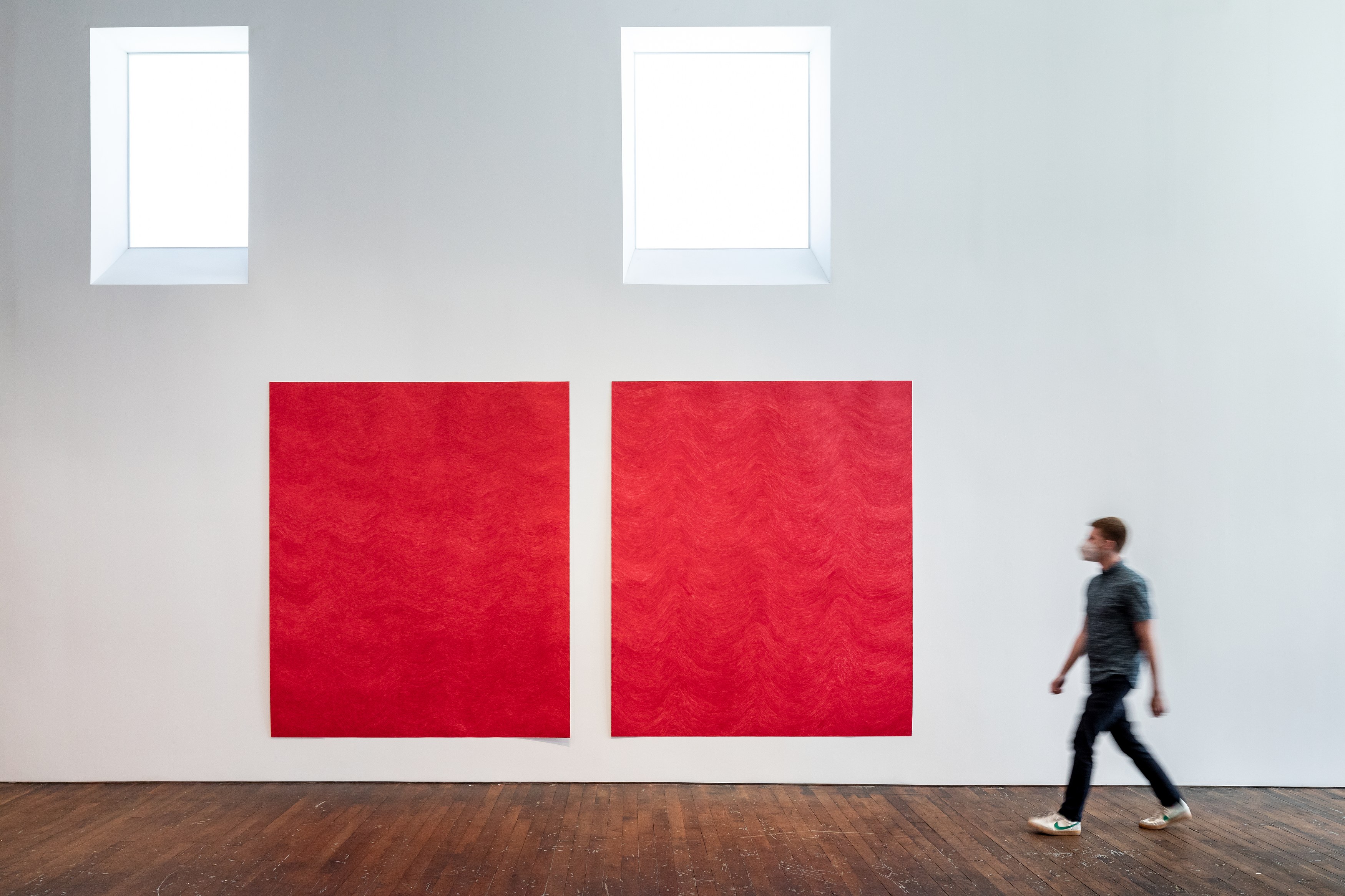 David Adamo, David Adamo at Peter Freeman, photo 9