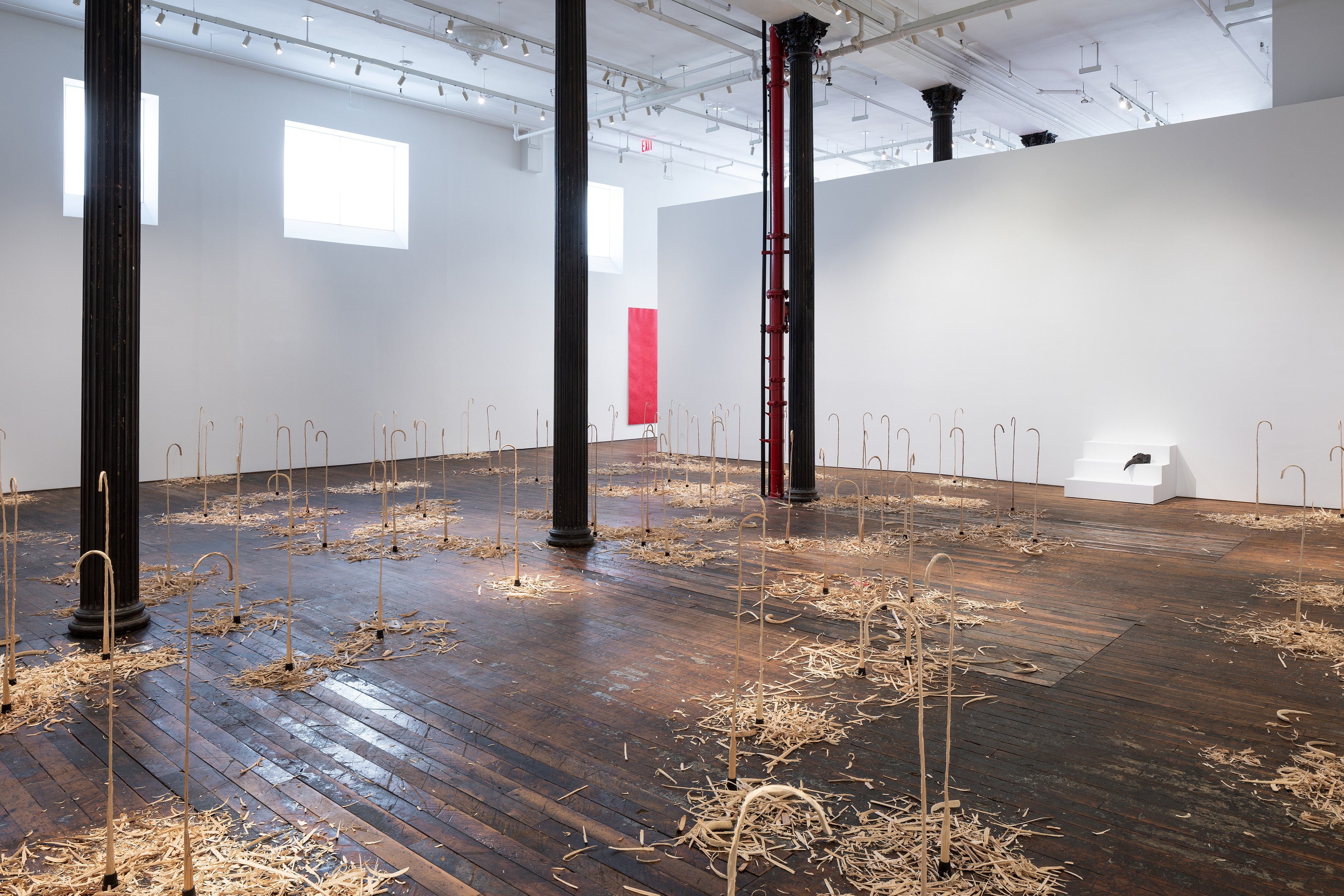 David Adamo, David Adamo at Peter Freeman, photo 10
