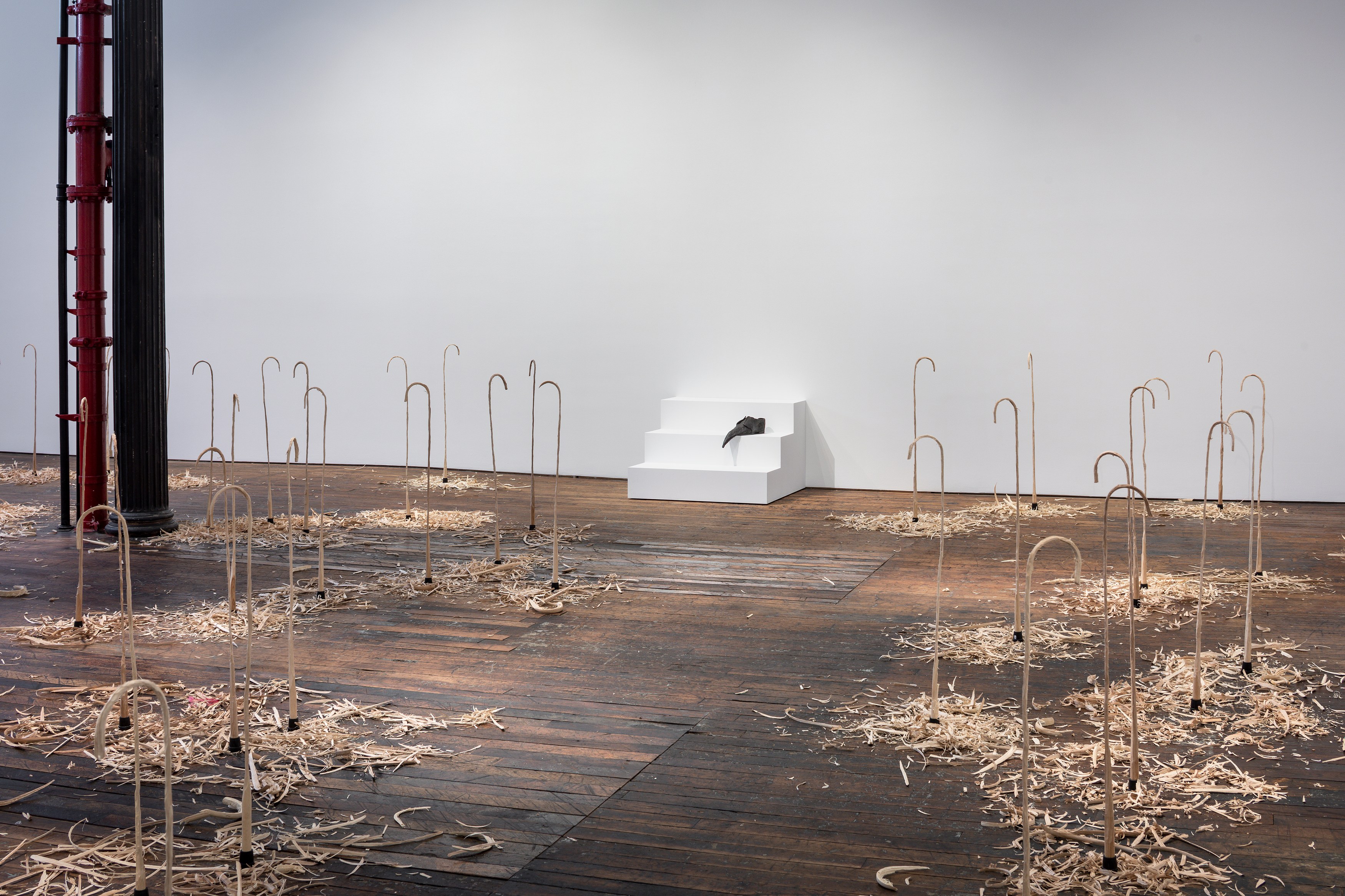 David Adamo, David Adamo at Peter Freeman, photo 11