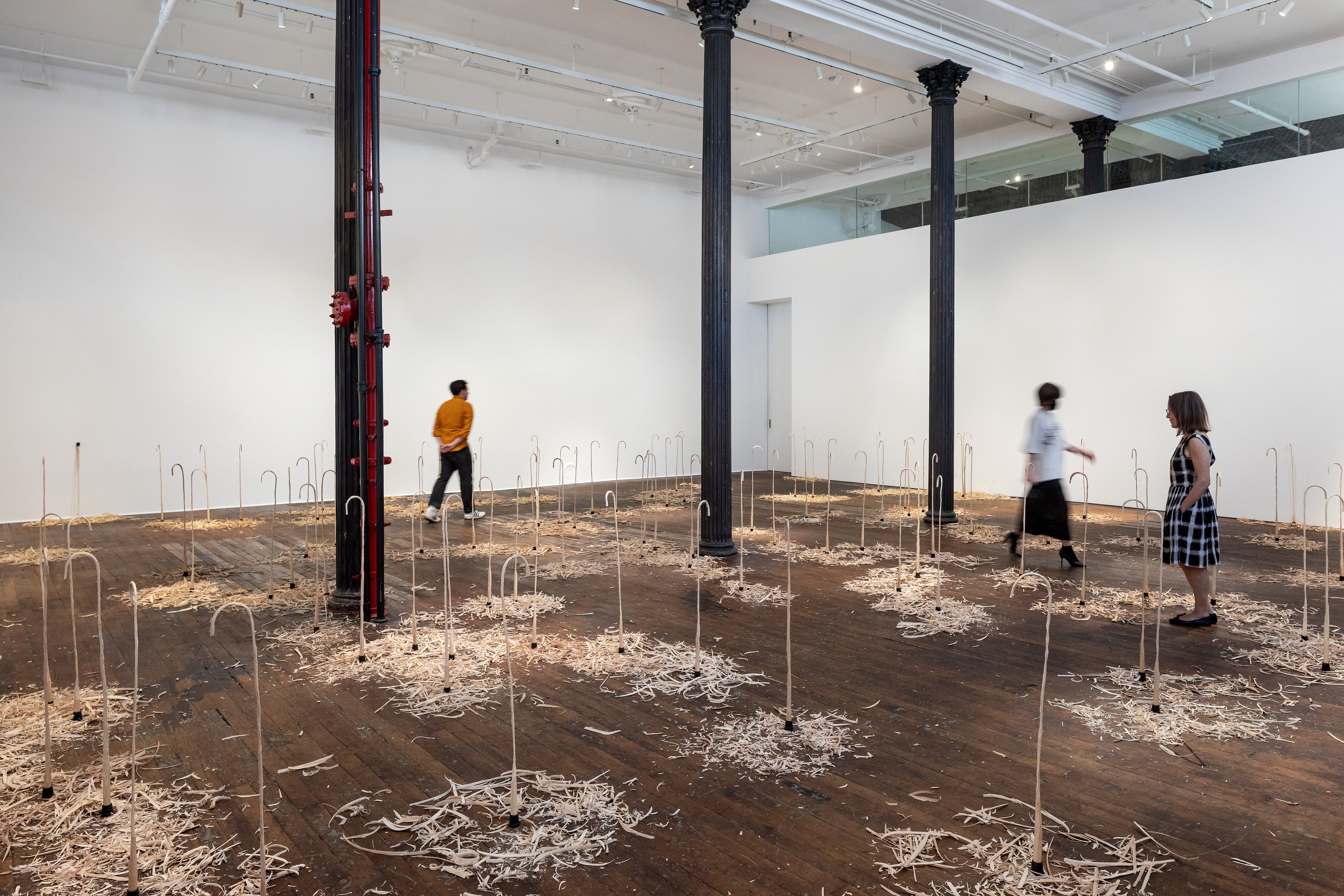 David Adamo, David Adamo at Peter Freeman, photo 15