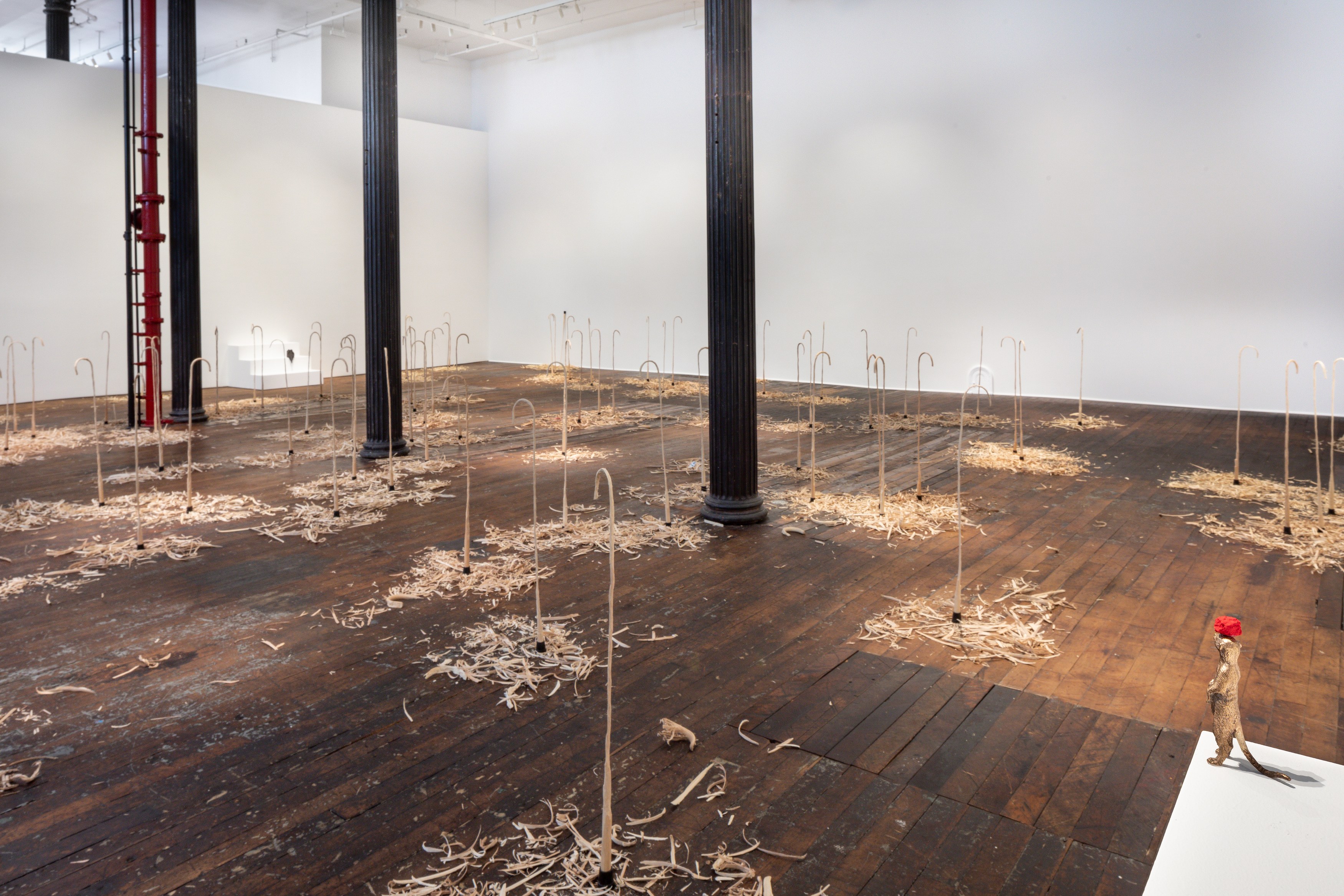 David Adamo, David Adamo at Peter Freeman, photo 13