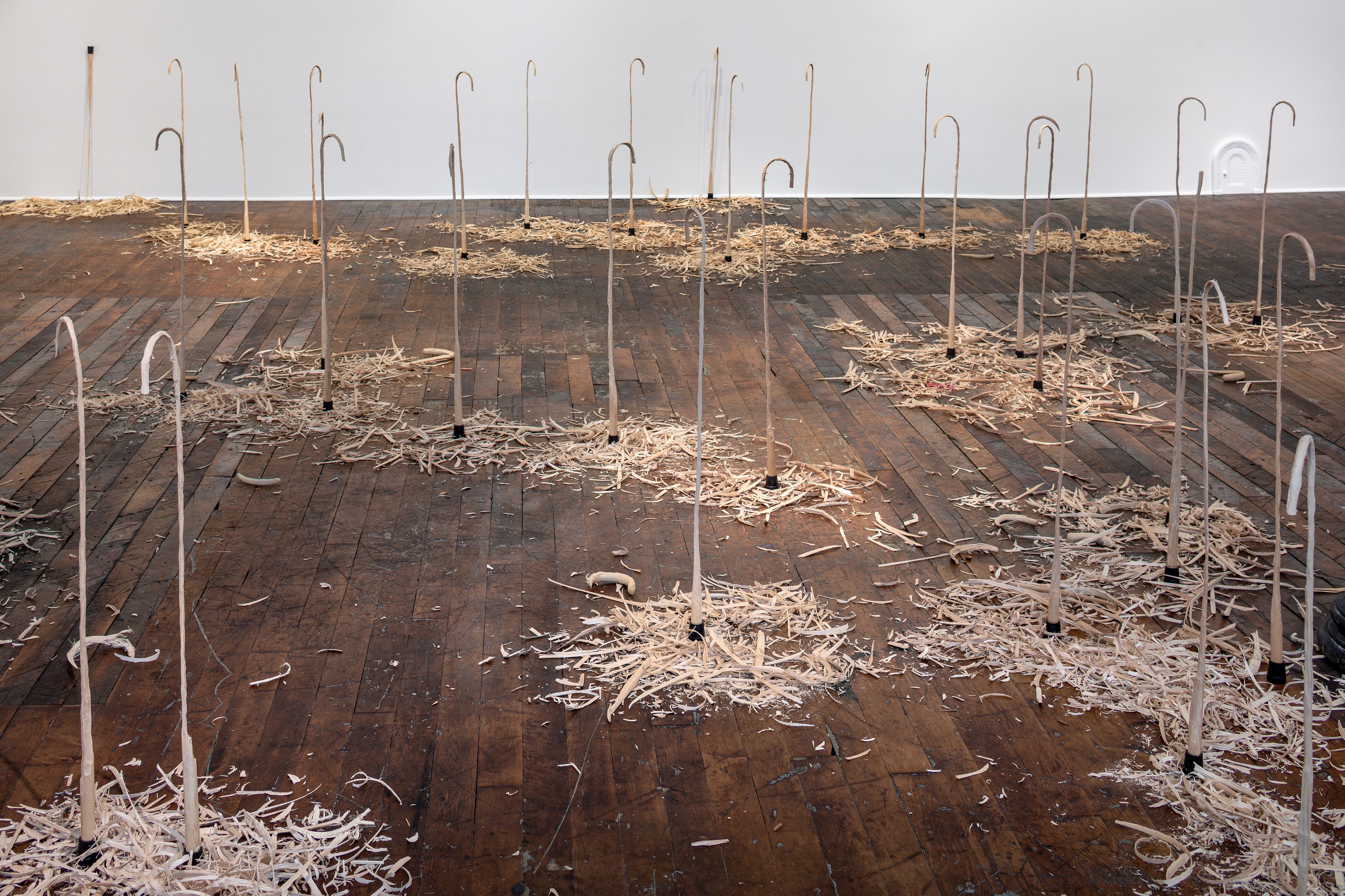 David Adamo, David Adamo at Peter Freeman, photo 16