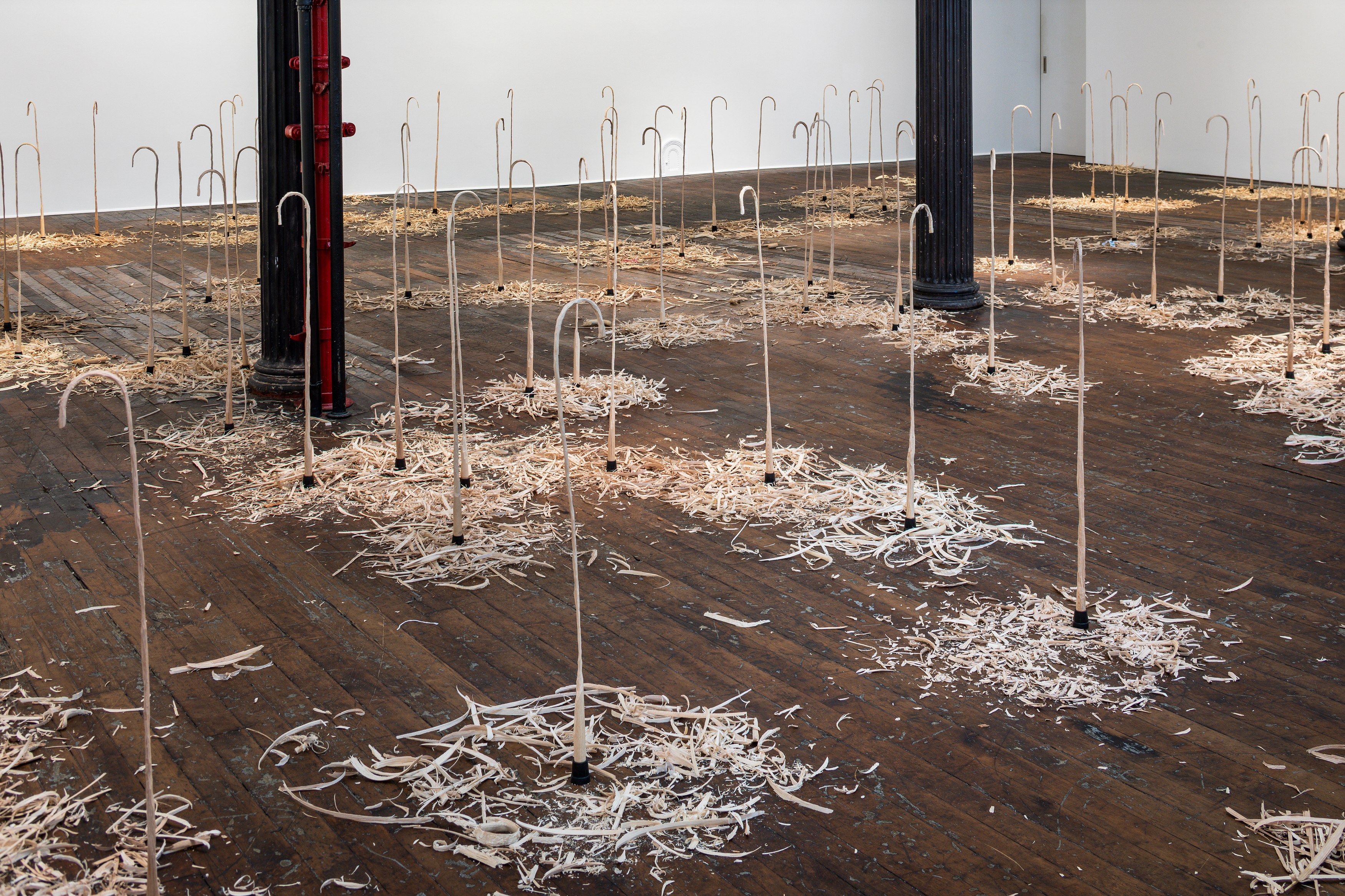 David Adamo, David Adamo at Peter Freeman, photo 17