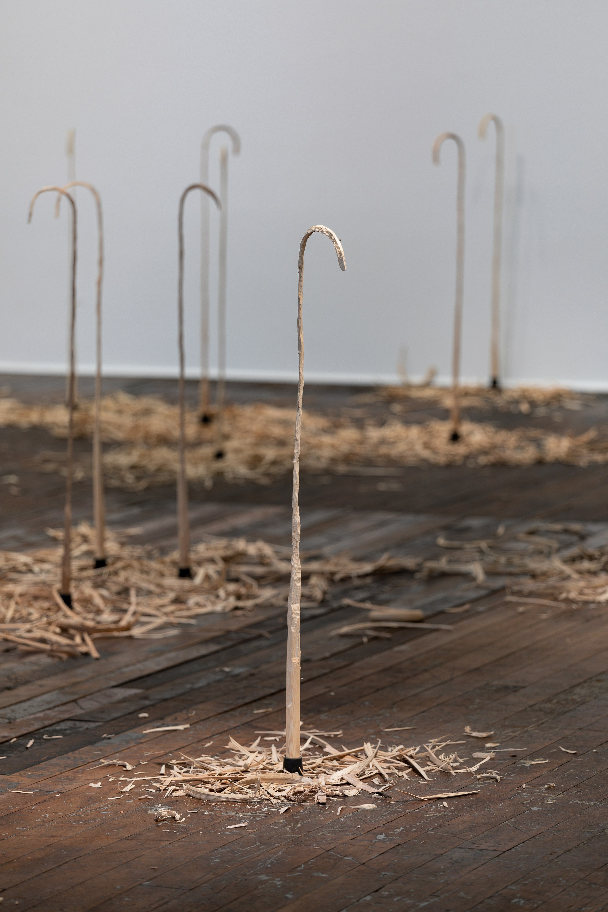 David Adamo, David Adamo at Peter Freeman, photo 20