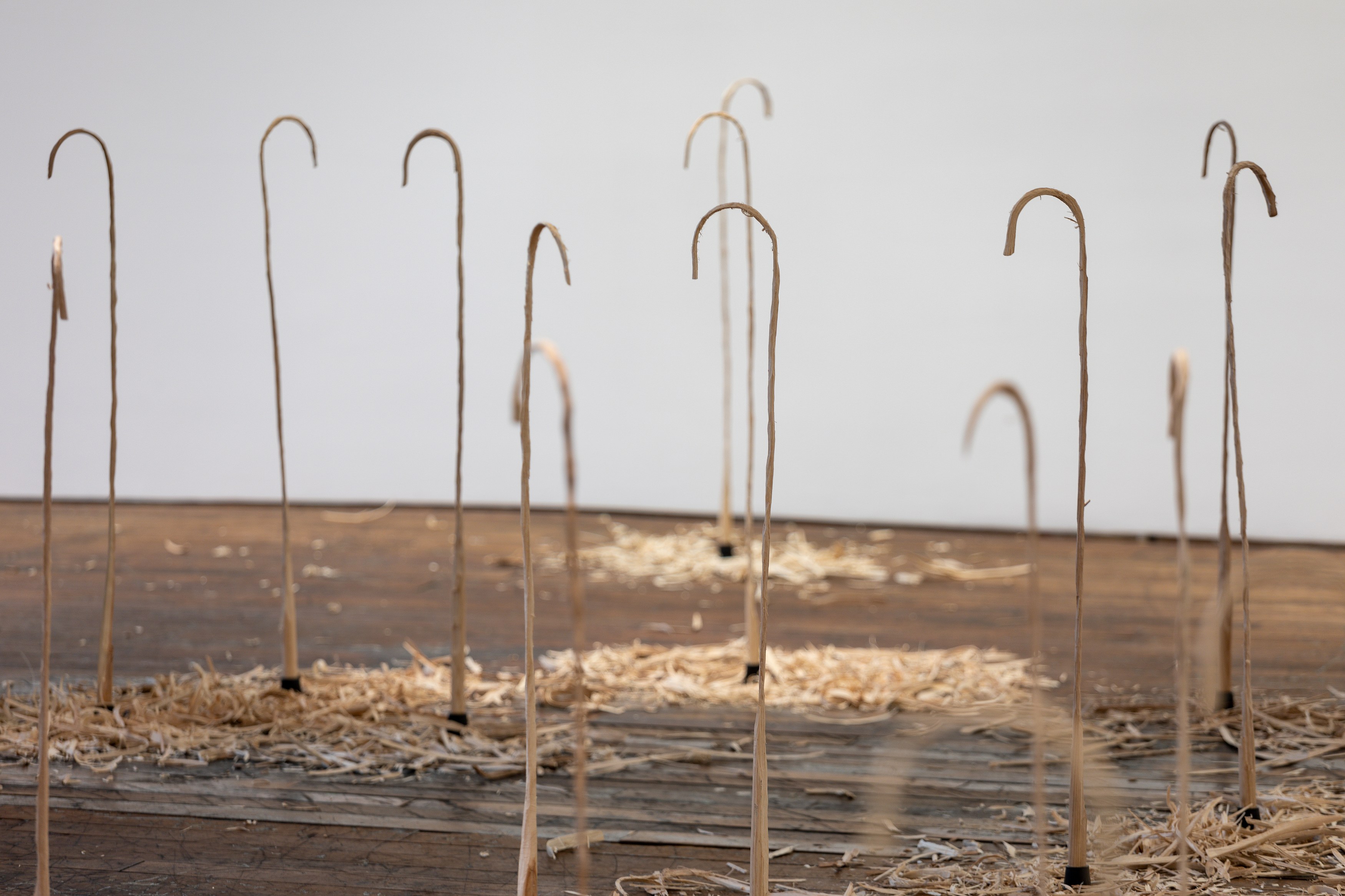 David Adamo, David Adamo at Peter Freeman, photo 19