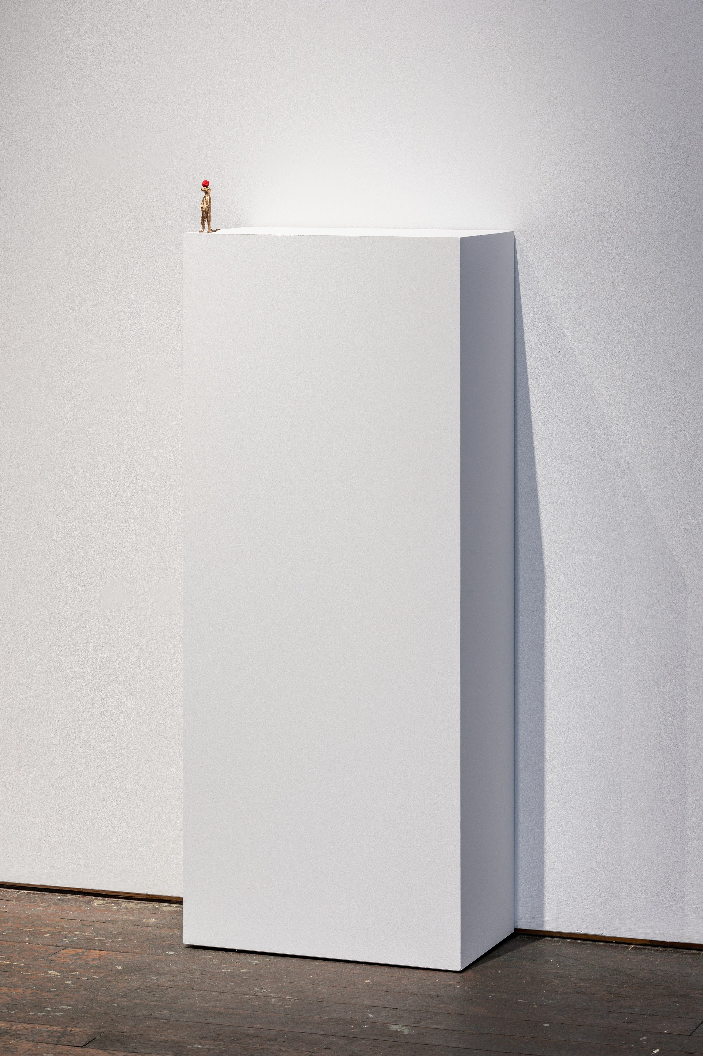 David Adamo, David Adamo at Peter Freeman, photo 23