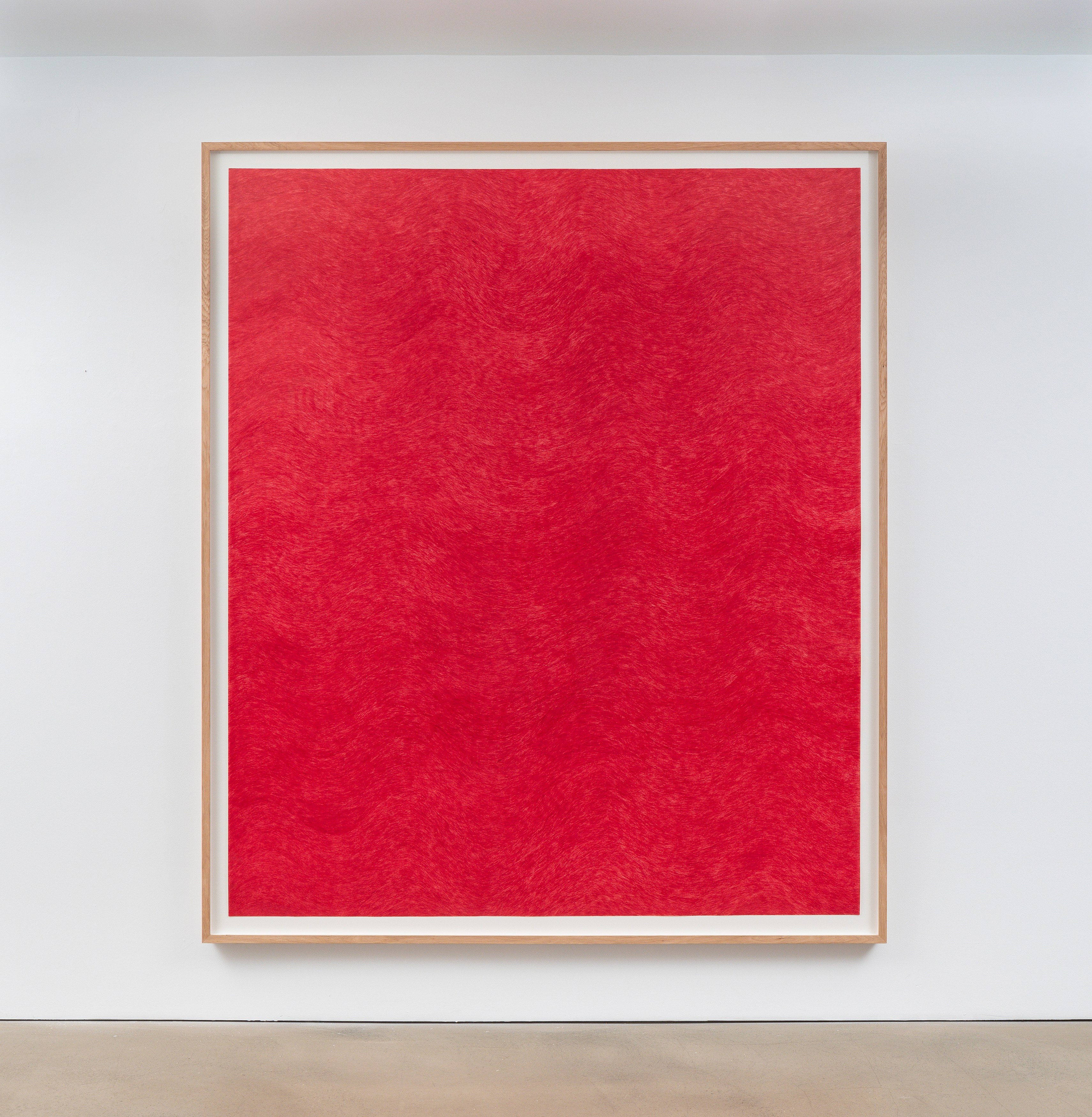 David Adamo, David Adamo at Peter Freeman, photo 61