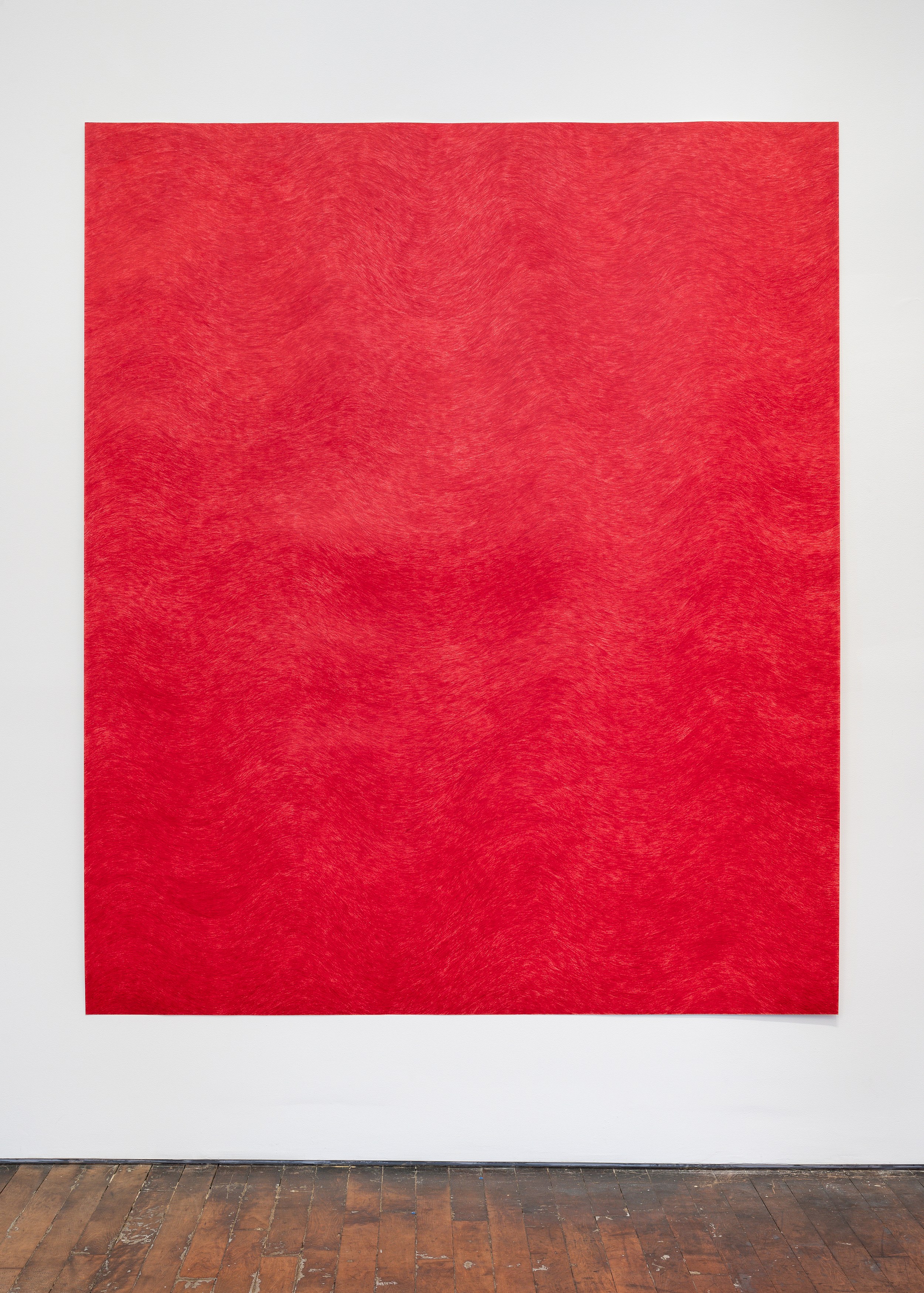 David Adamo, David Adamo at Peter Freeman, photo 62