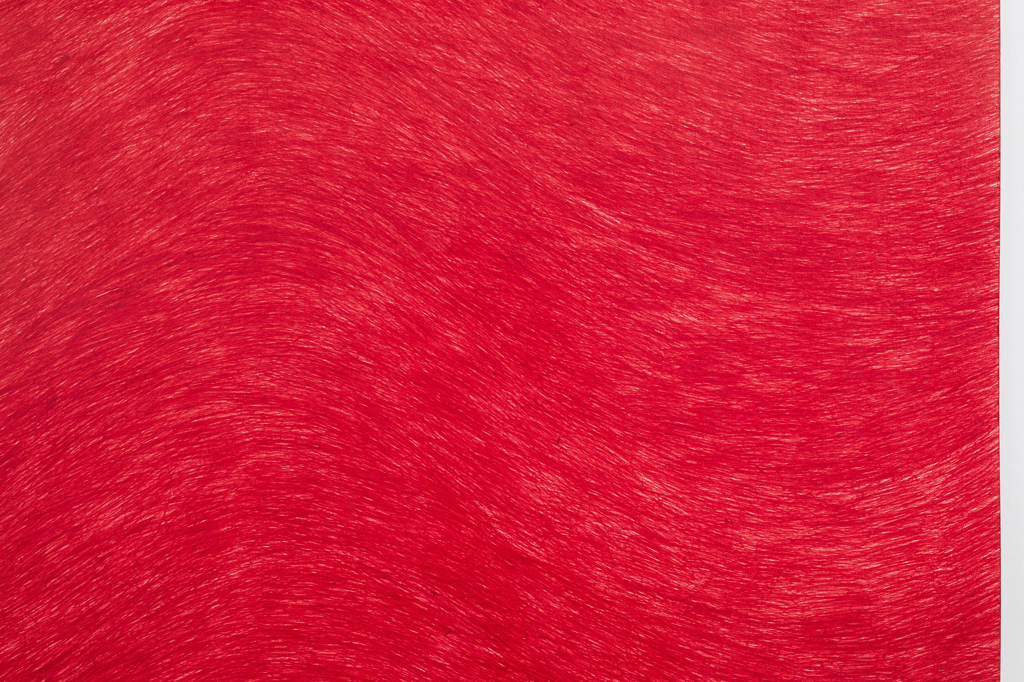 David Adamo, David Adamo at Peter Freeman, photo 63