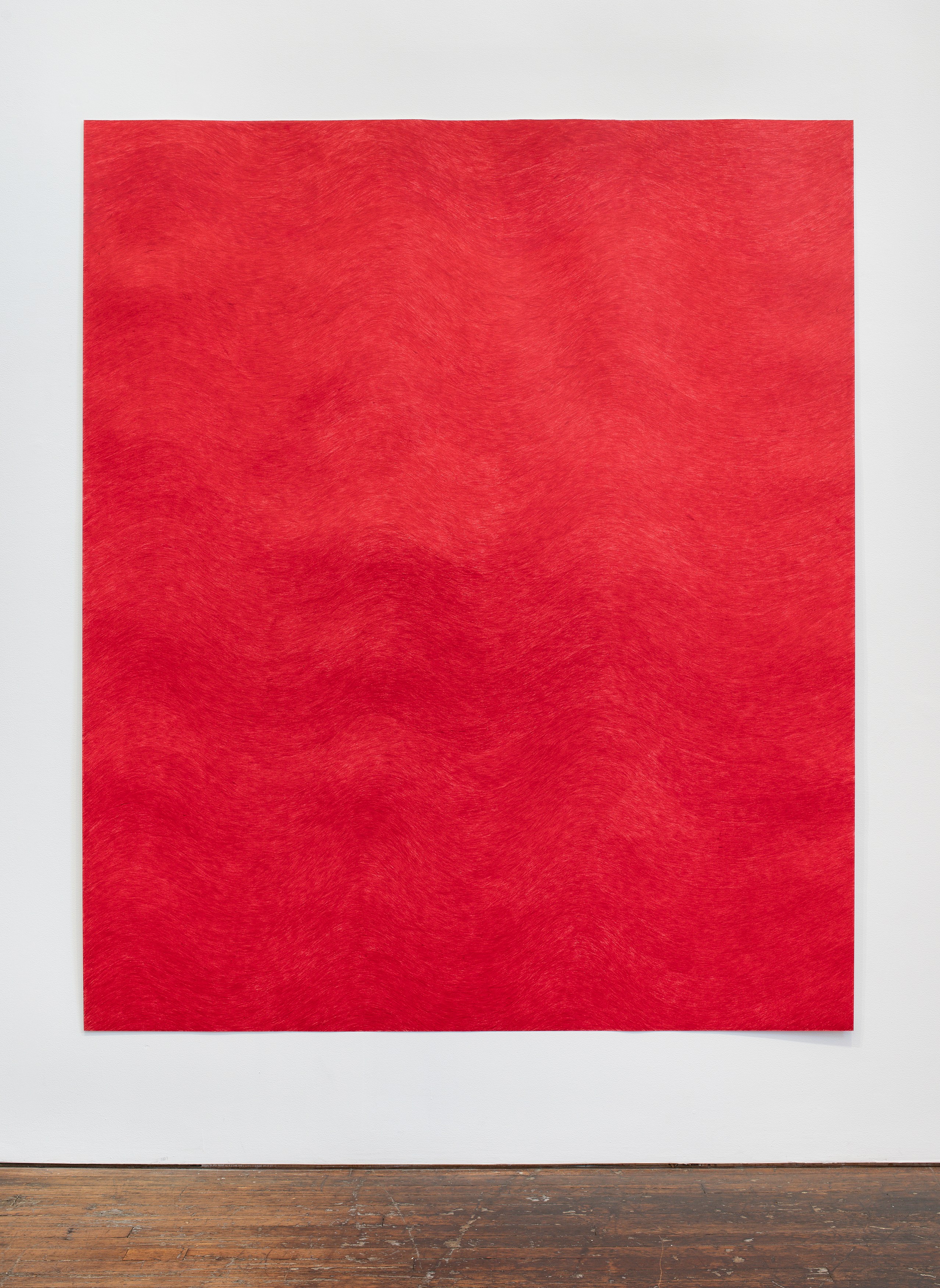 David Adamo, David Adamo at Peter Freeman, photo 69