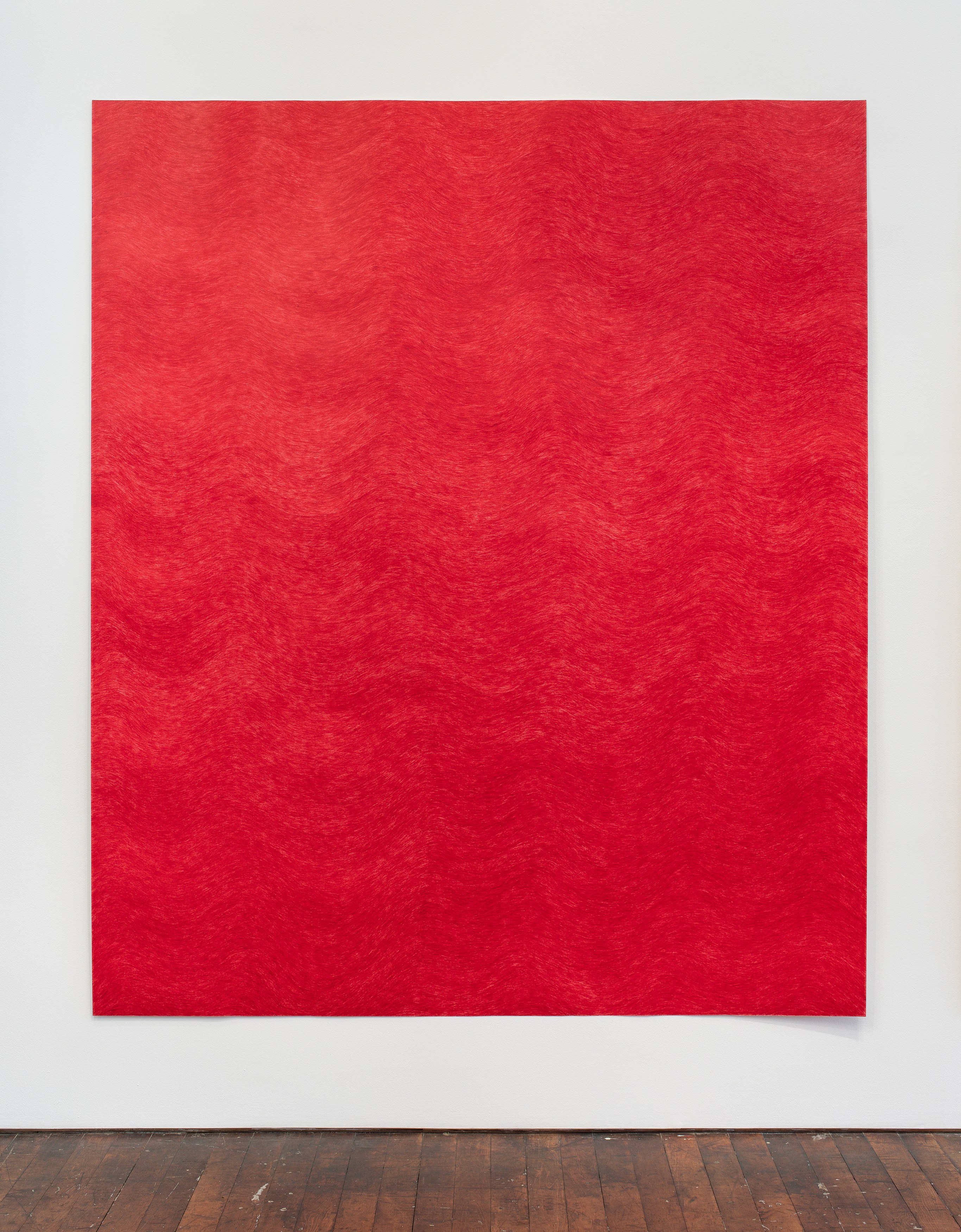 David Adamo, David Adamo at Peter Freeman, photo 73