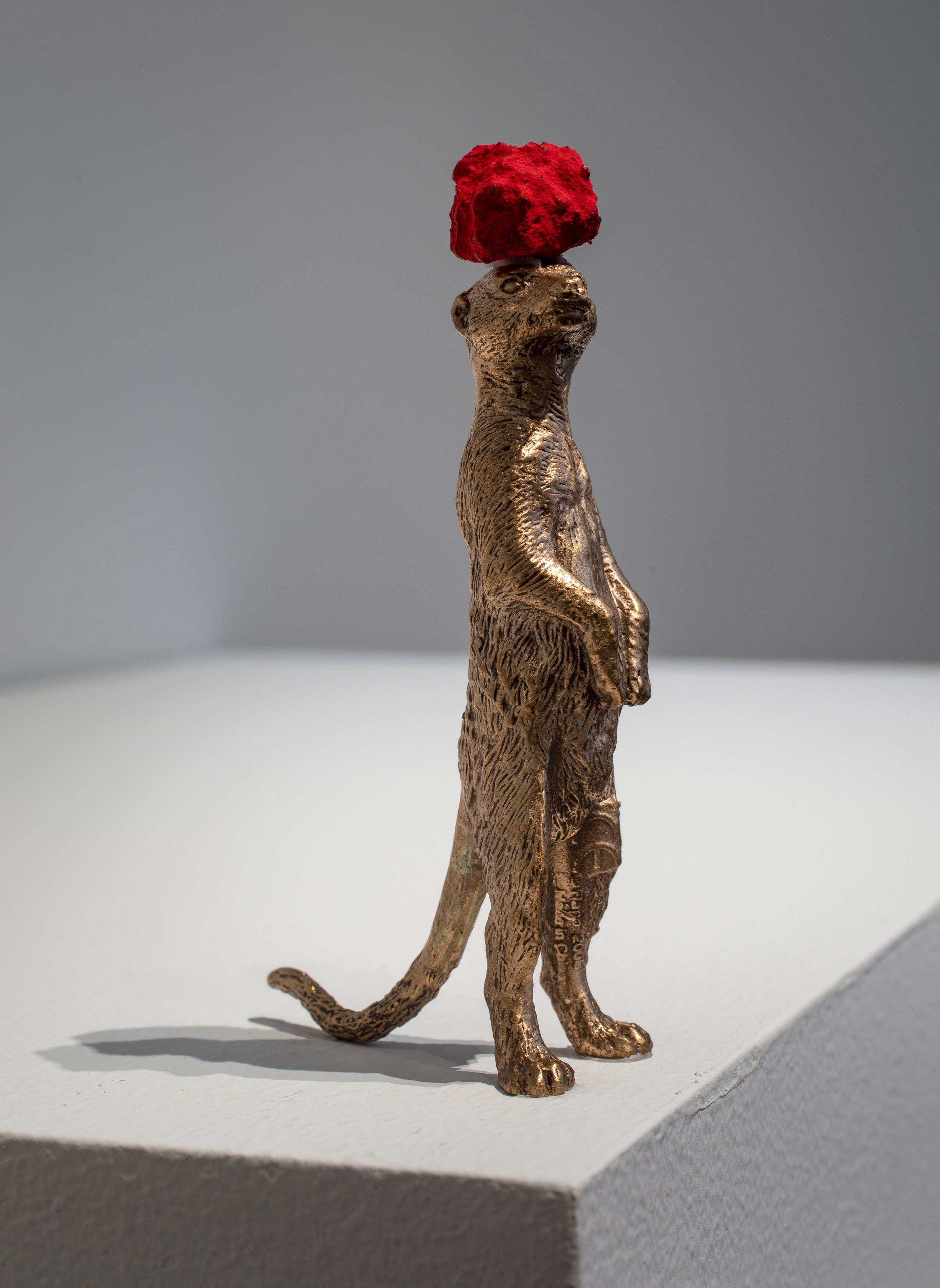 David Adamo, David Adamo at Peter Freeman, photo 25
