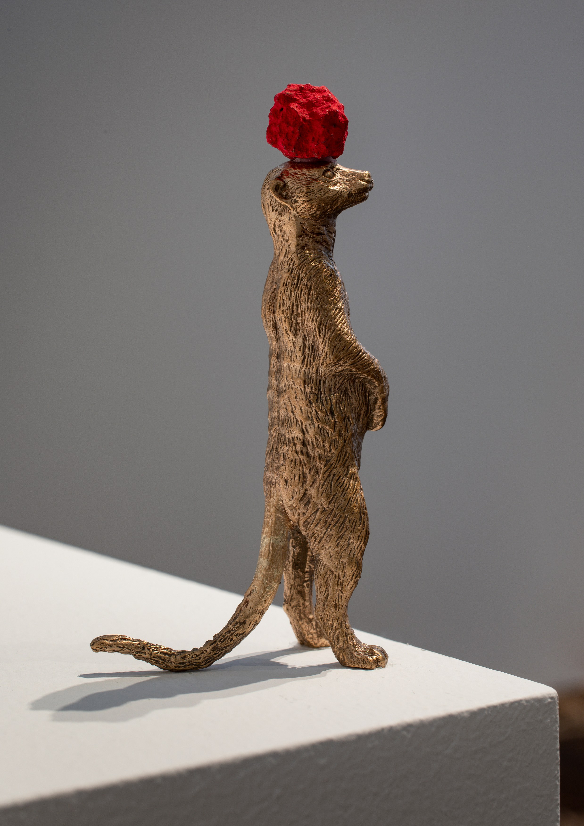 David Adamo, David Adamo at Peter Freeman, photo 28