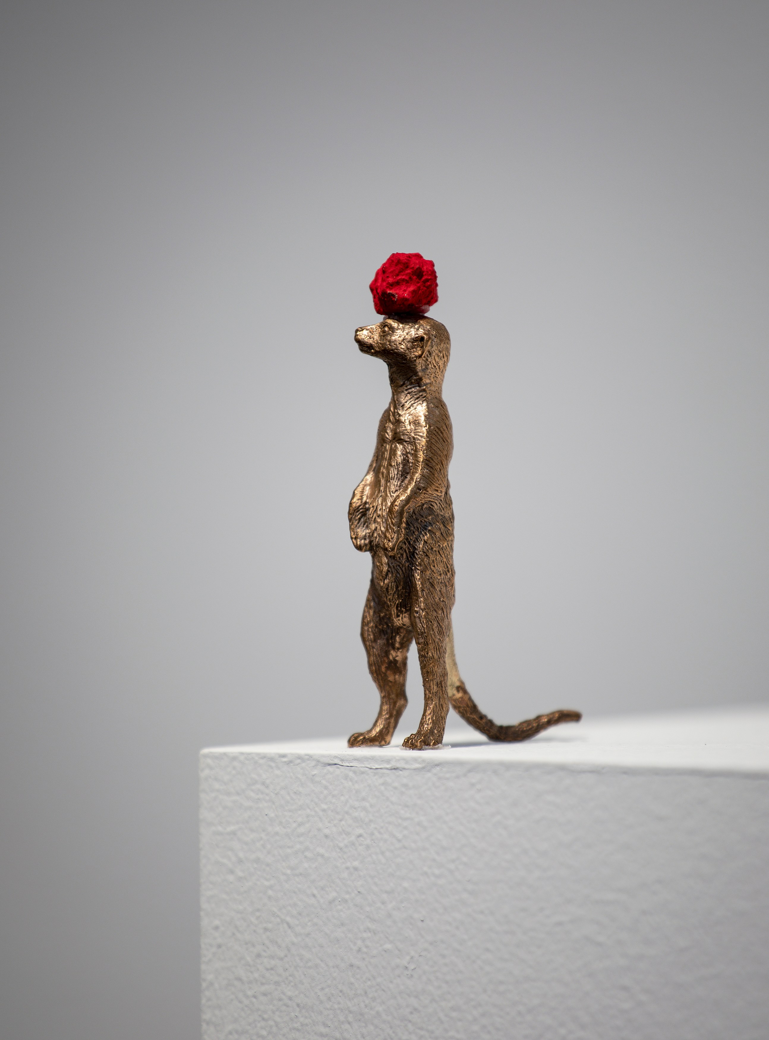David Adamo, David Adamo at Peter Freeman, photo 30