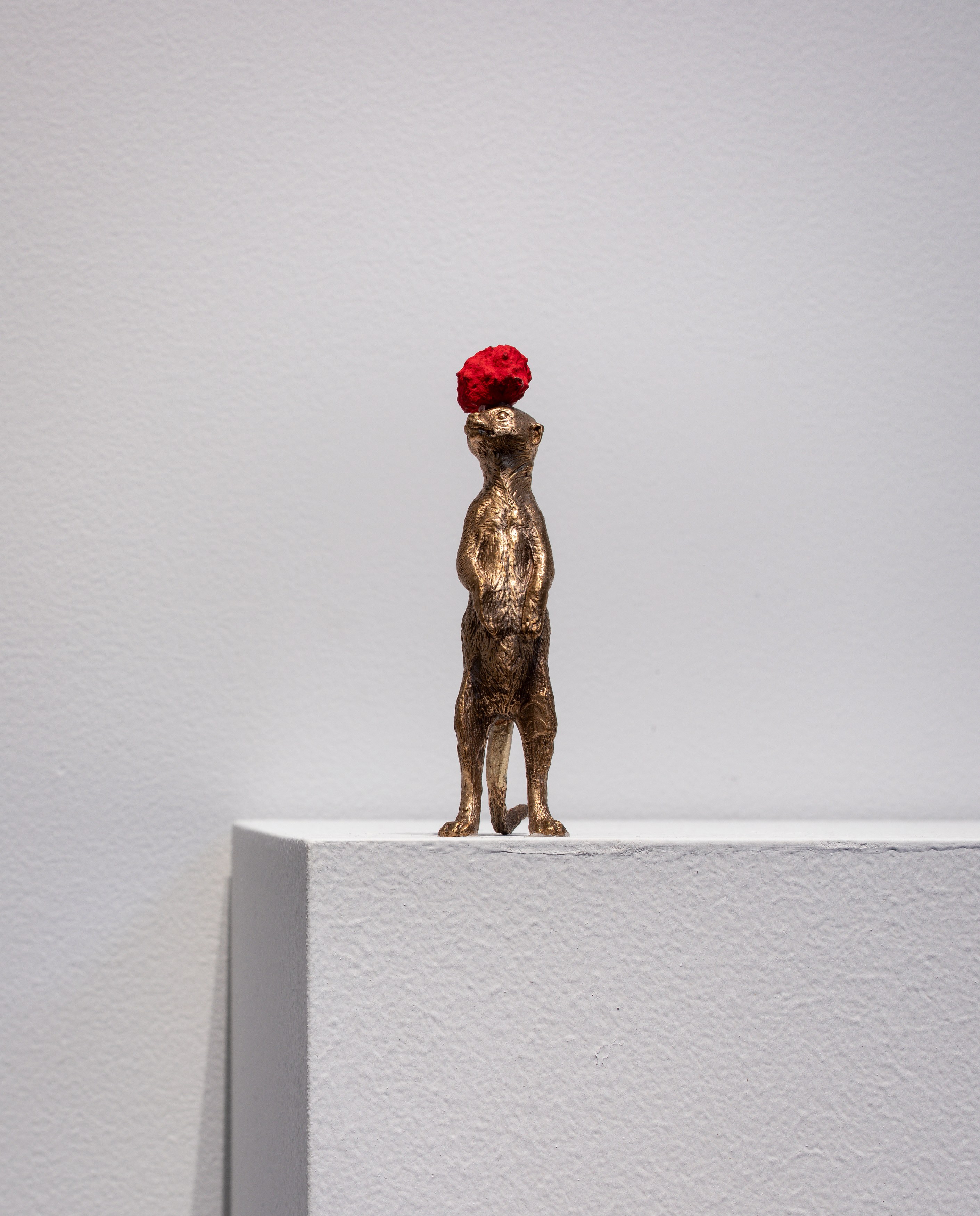 David Adamo, David Adamo at Peter Freeman, photo 31
