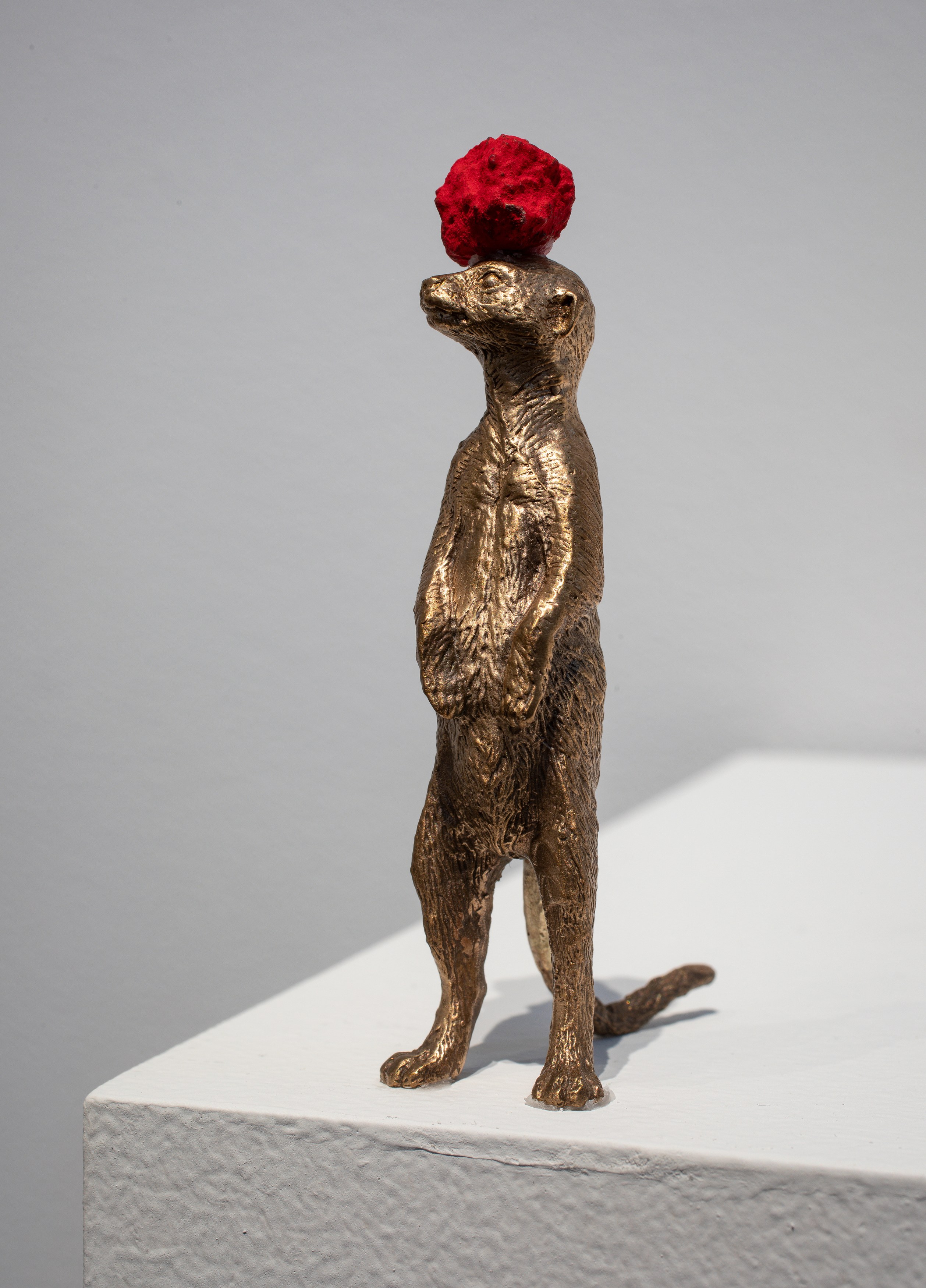 David Adamo, David Adamo at Peter Freeman, photo 33