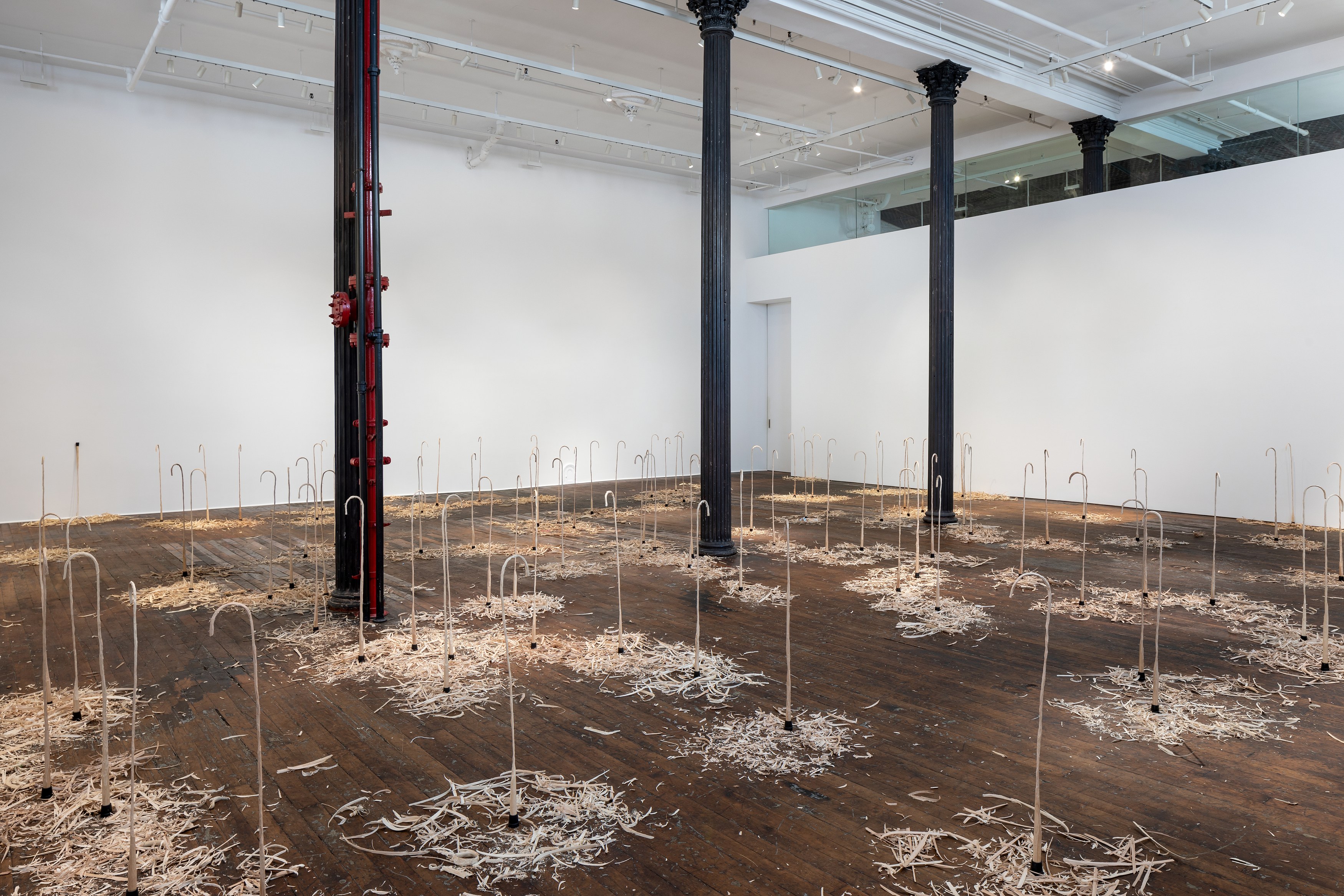 David Adamo, David Adamo at Peter Freeman, photo 14