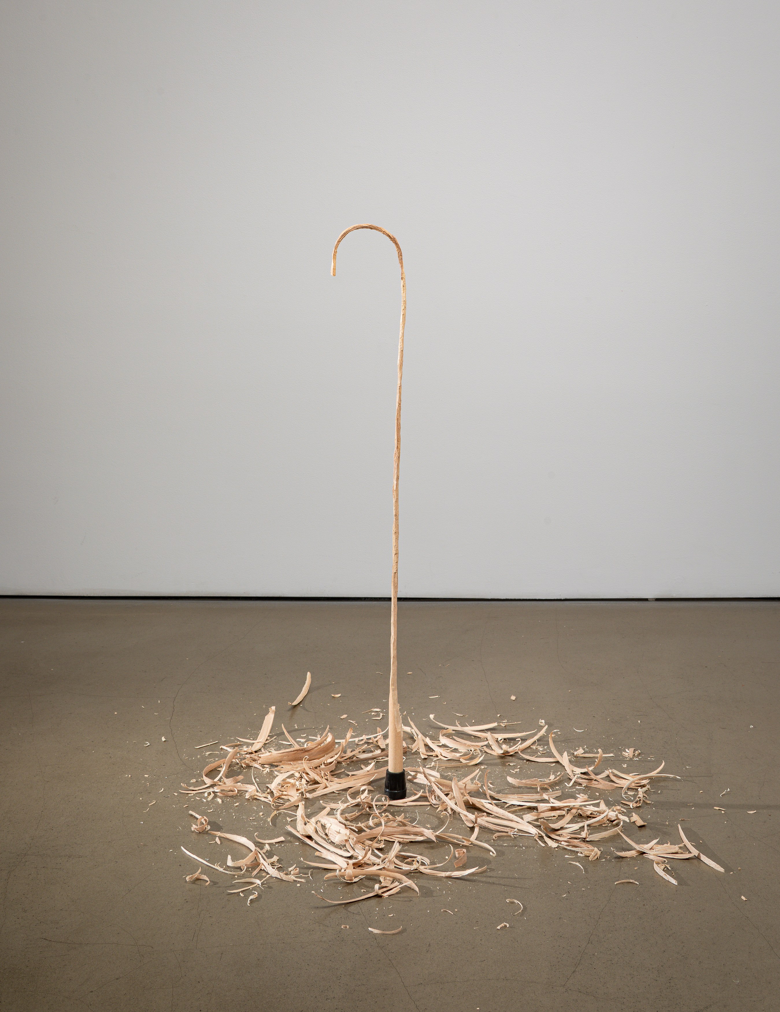 David Adamo, David Adamo at Peter Freeman, photo 21