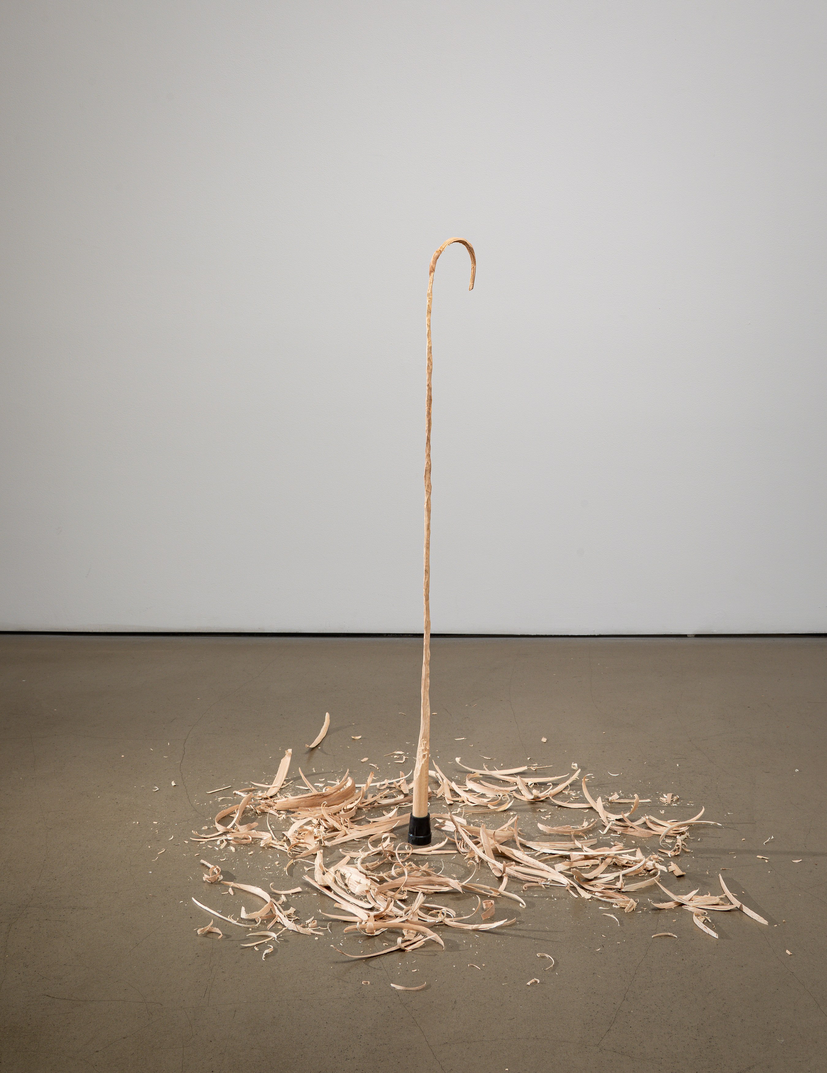 David Adamo, David Adamo at Peter Freeman, photo 22