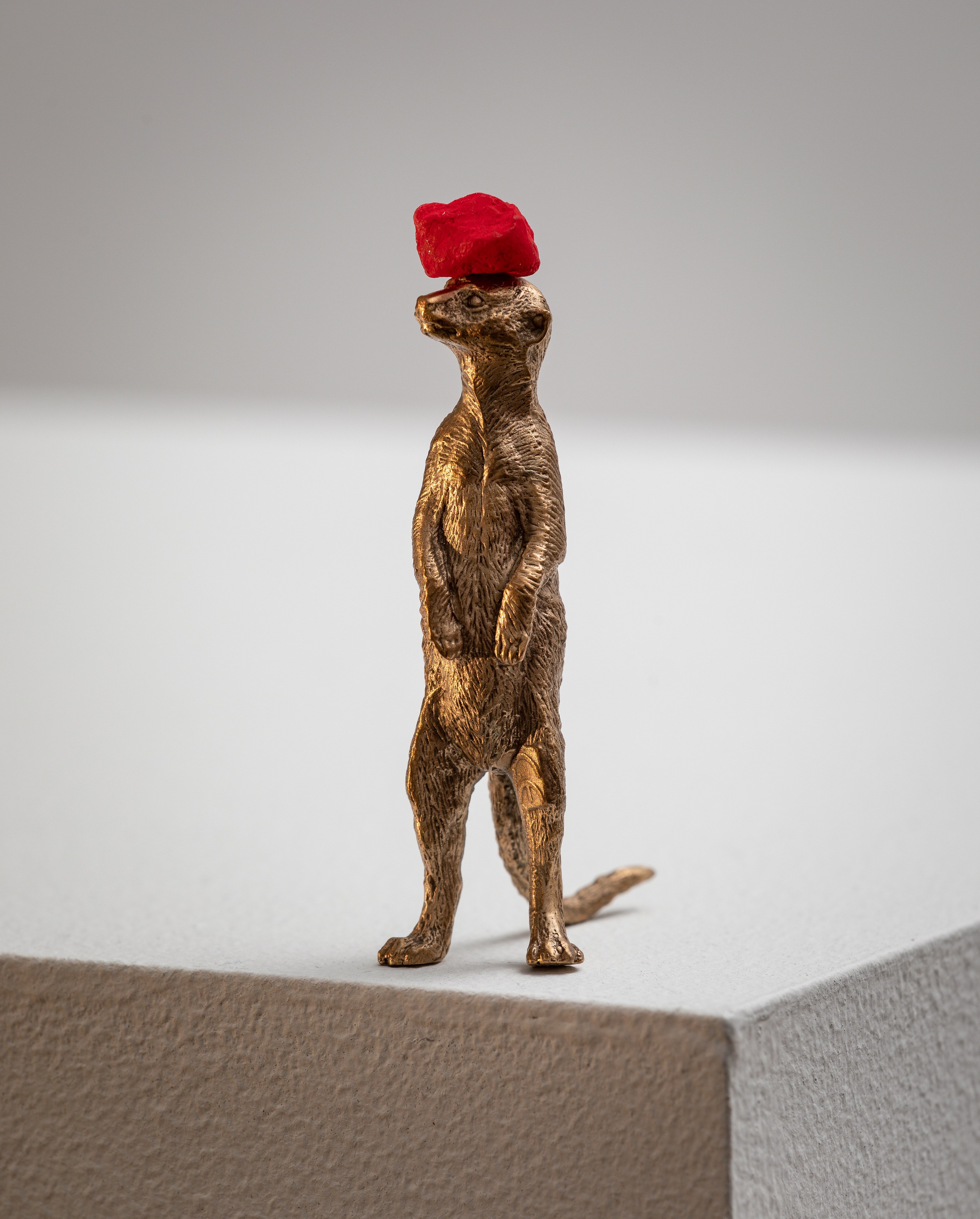 David Adamo, David Adamo at Peter Freeman, photo 26