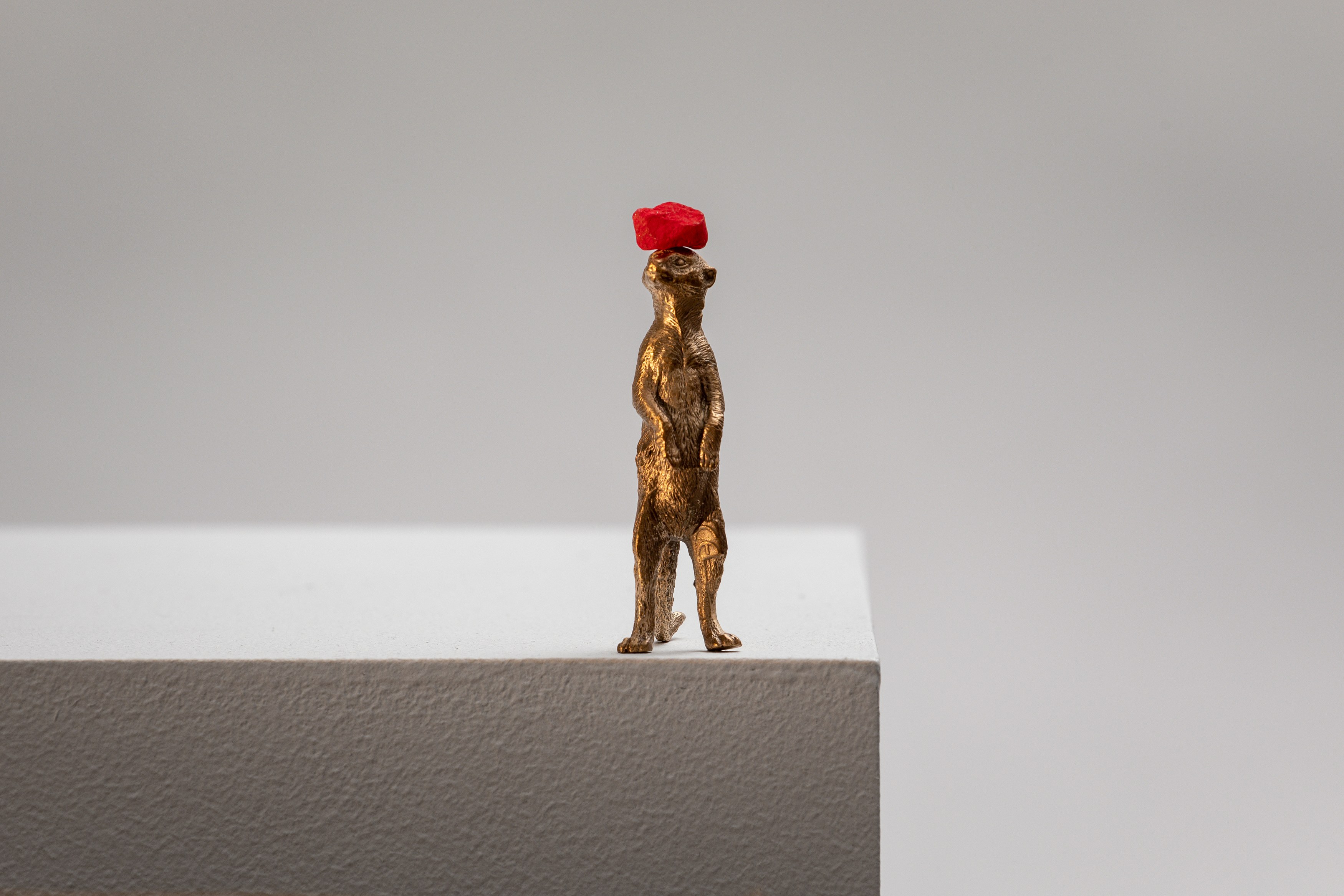 David Adamo, David Adamo at Peter Freeman, photo 27