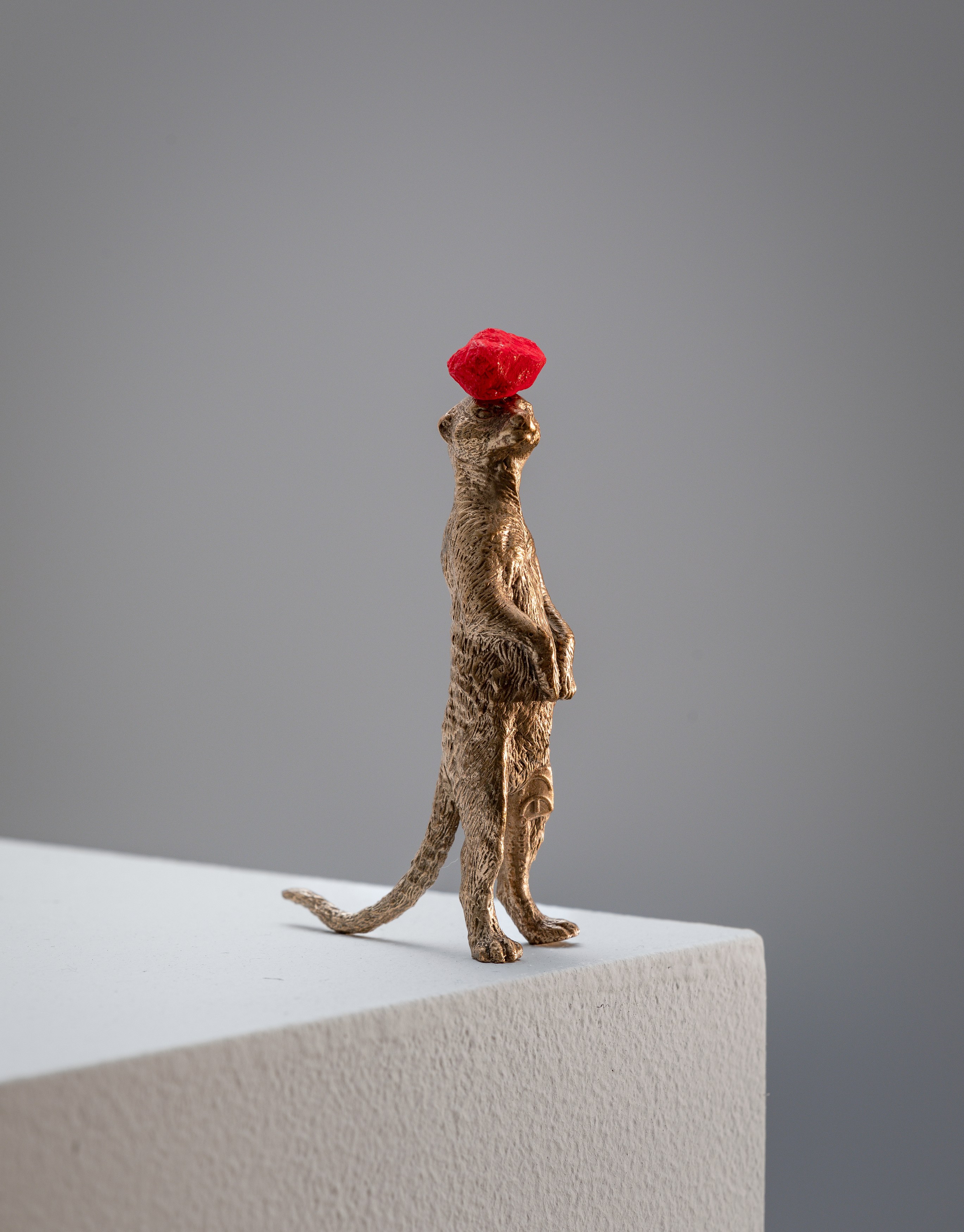 David Adamo, David Adamo at Peter Freeman, photo 32