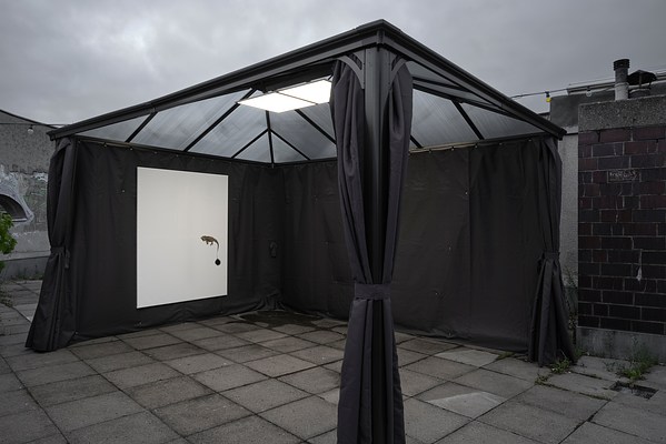 Image 2 of 9
