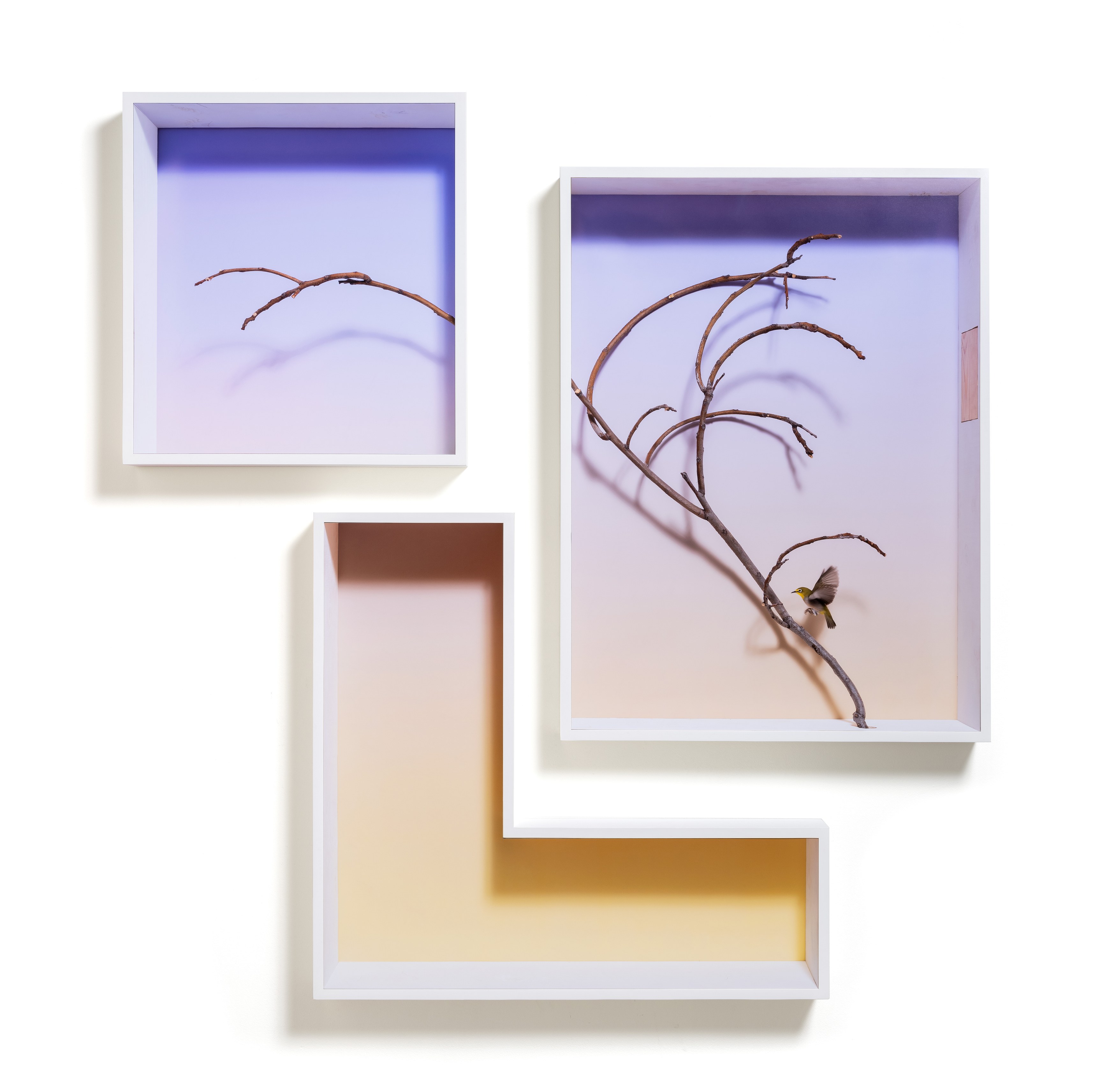 Anthony Lepore, Time's a Taker at Moskowitz Bayse, photo 16