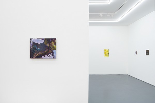 Image 9 of 17