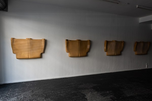 Image 1 of 17