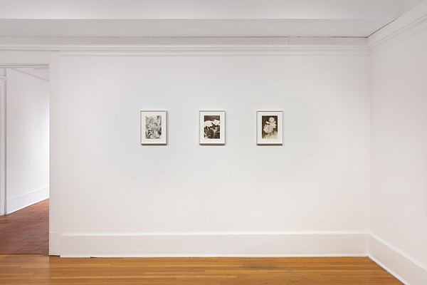 Image 3 of 27