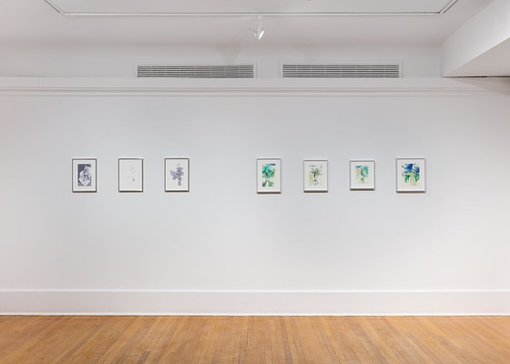 Image 1 of 27