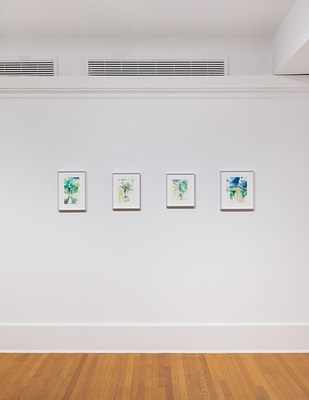 Image 6 of 27