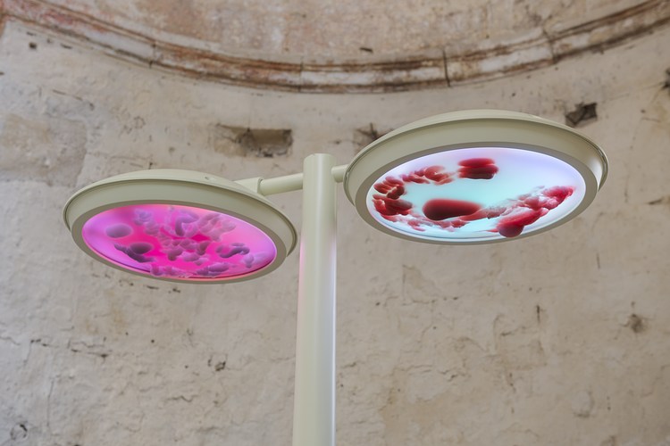 Cooper Jacoby at High Art, Arles Contemporary Art Daily