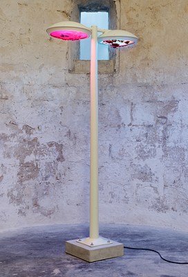 Image 14 of 23
