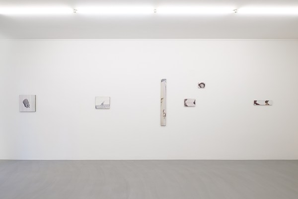 Image 10 of 45