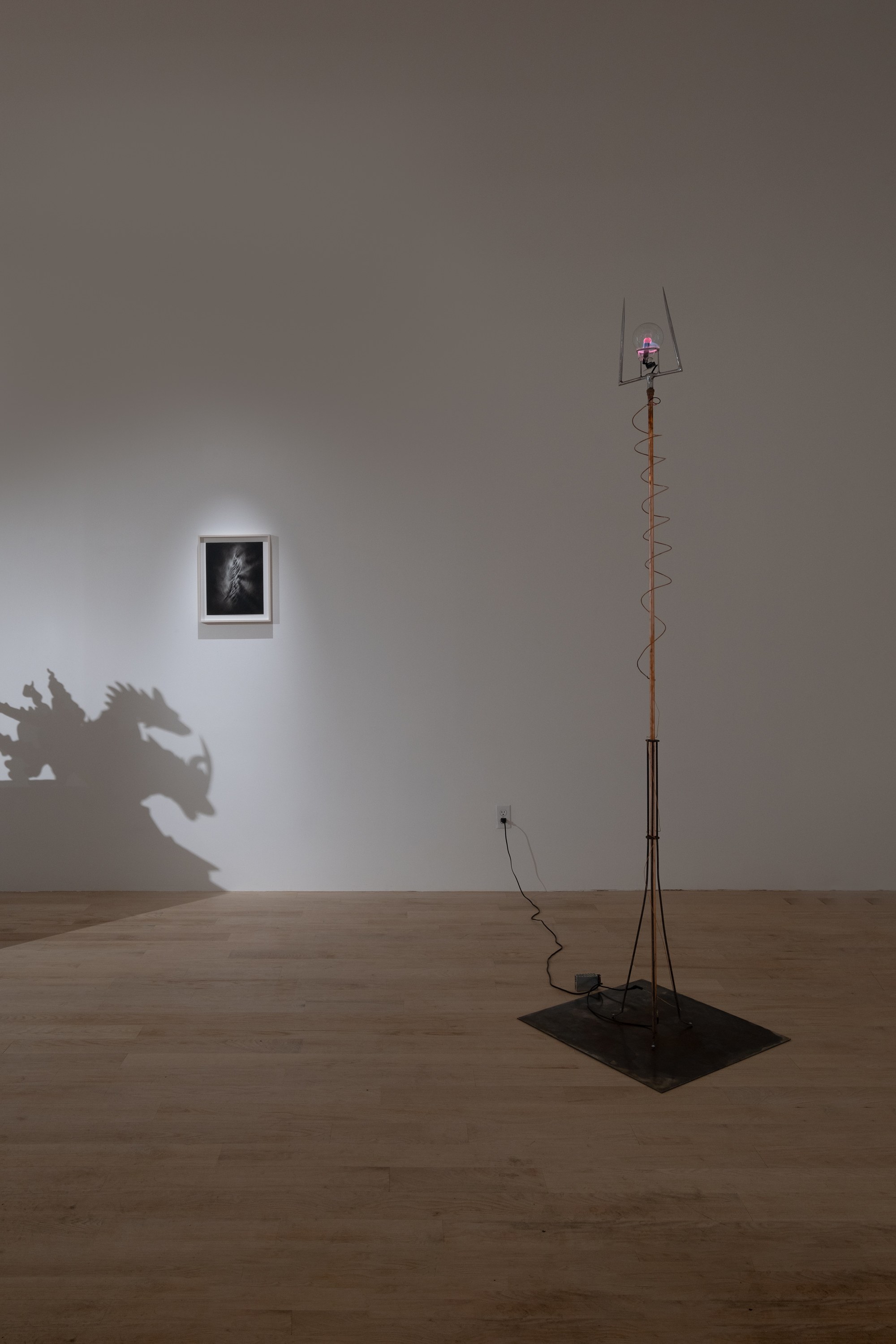 Installation view 7