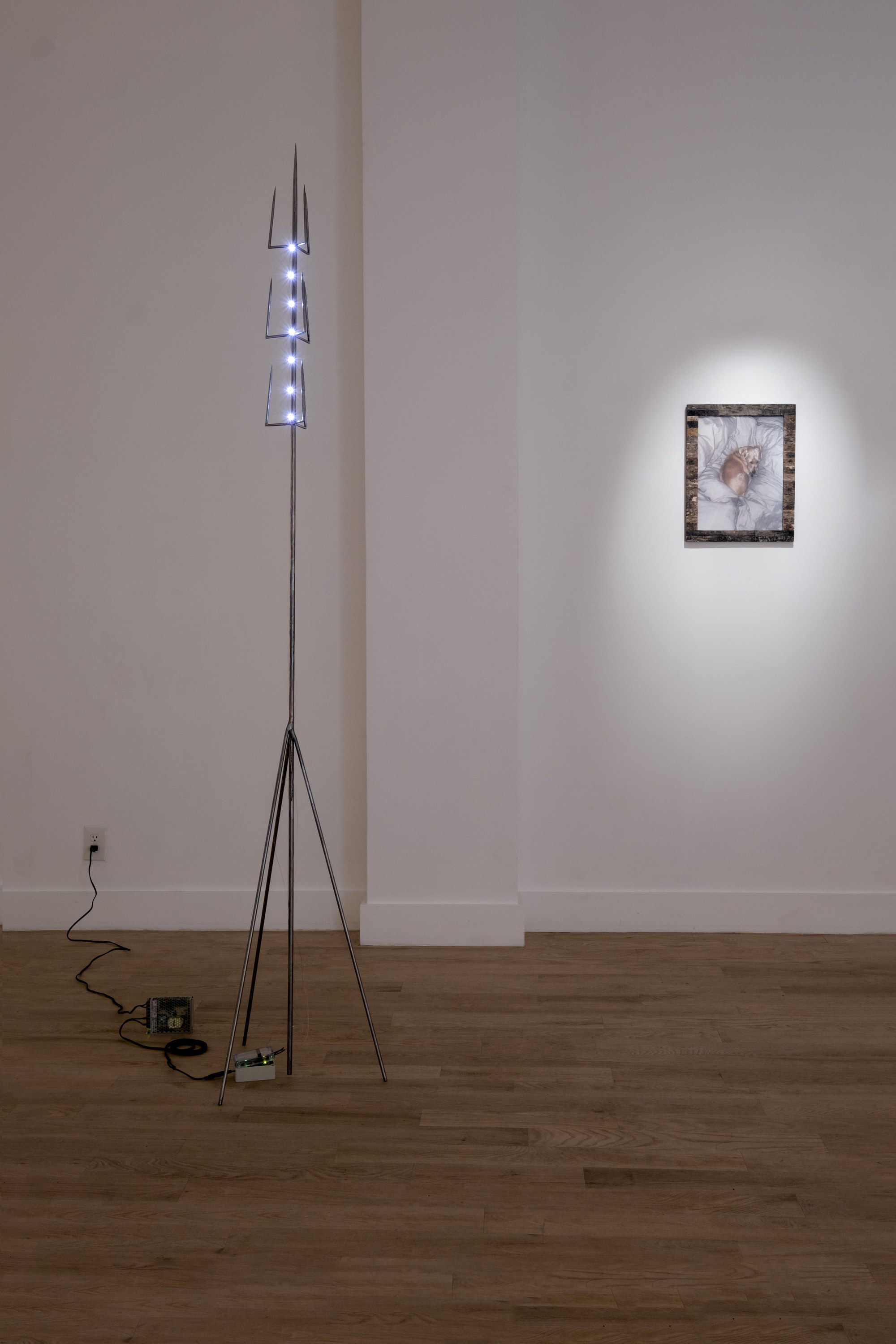 Installation view 12