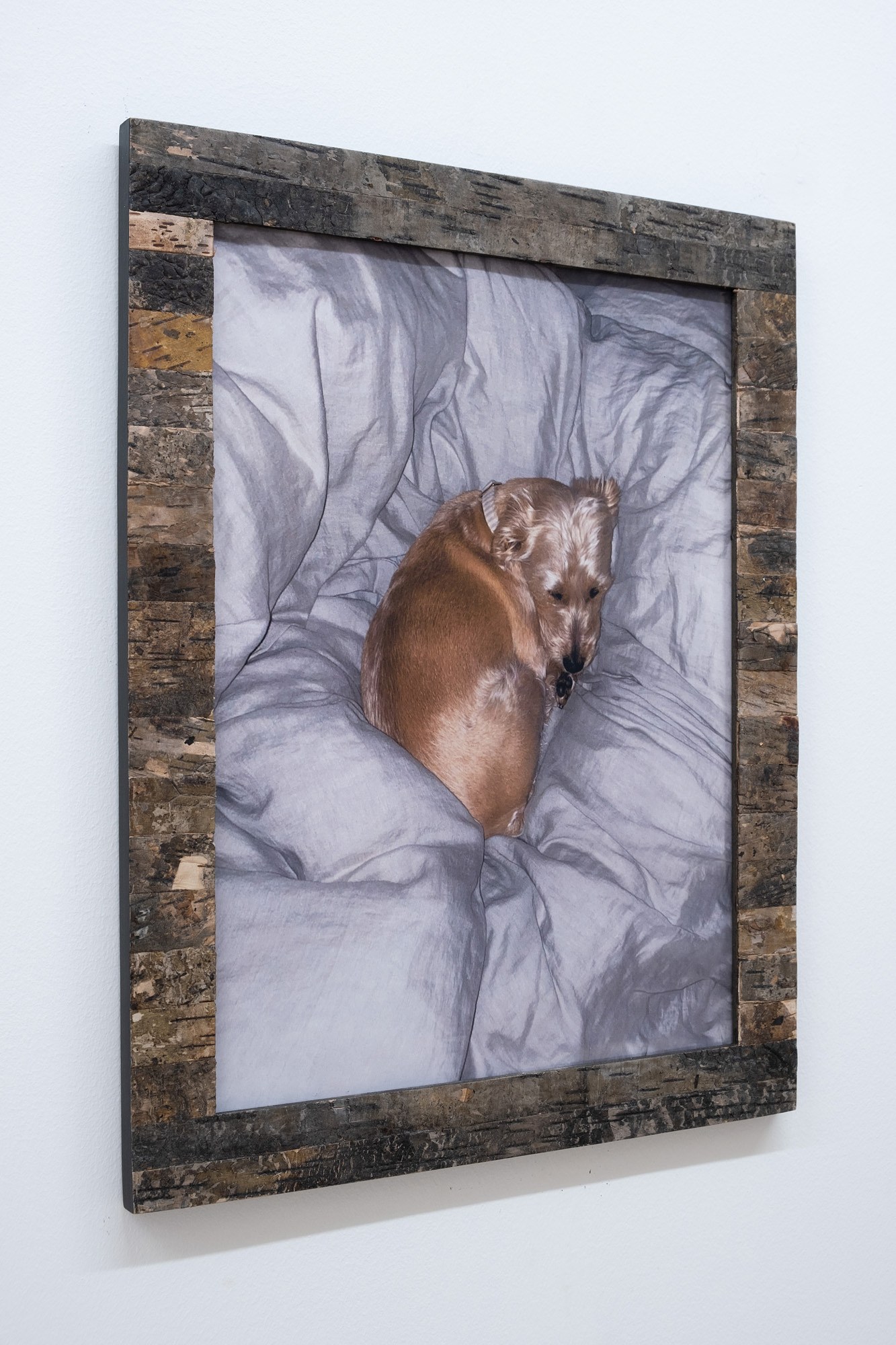 Genevieve Goffman, Clare Koury, Rachel Rosheger, Maximum Destruction at Management, photo 53