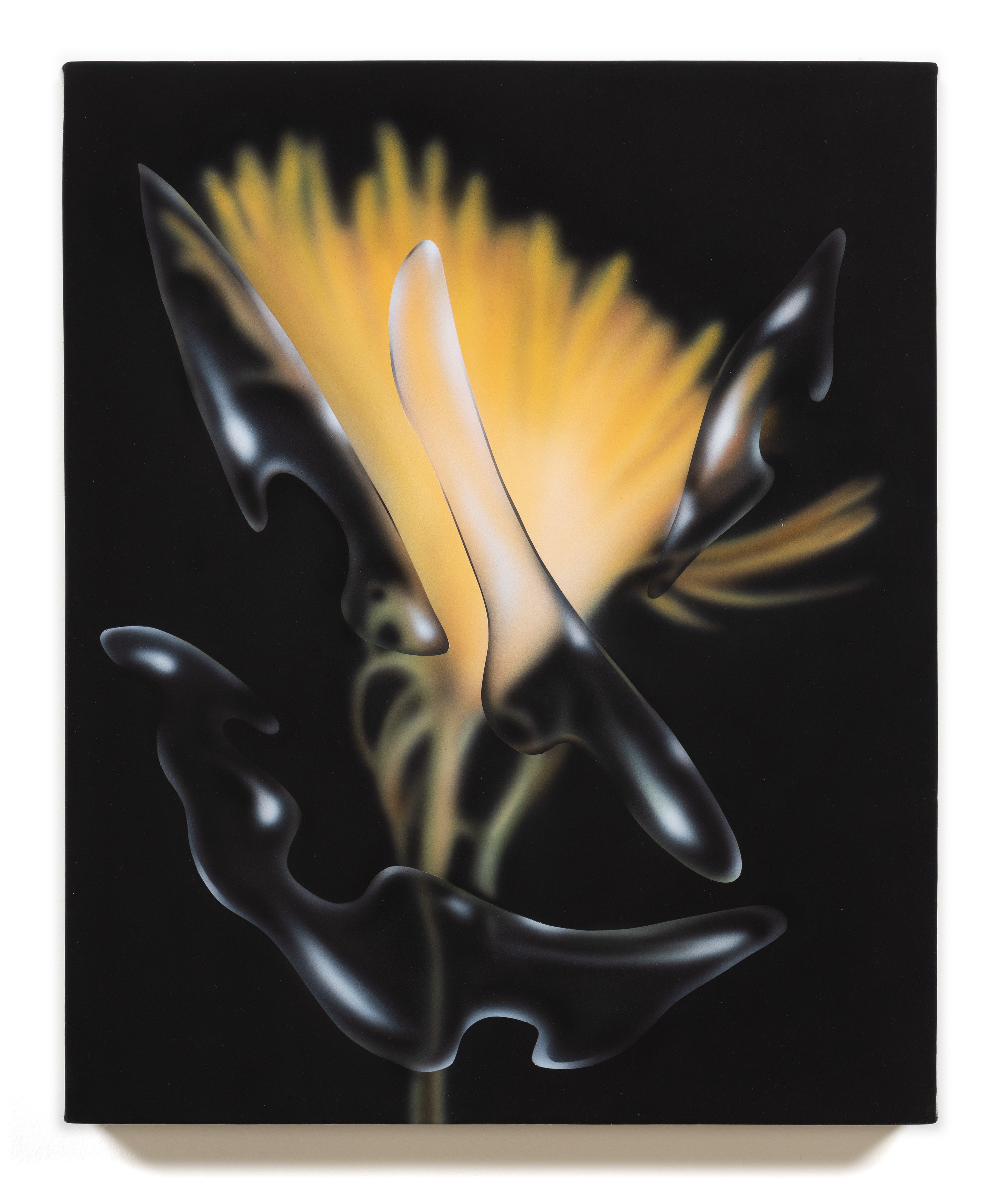 Aaron Jupin, The Views at Moskowitz Bayse, photo 29