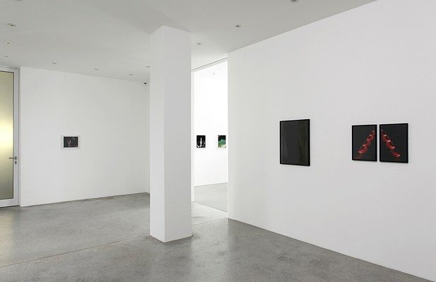 Image 9 of 21