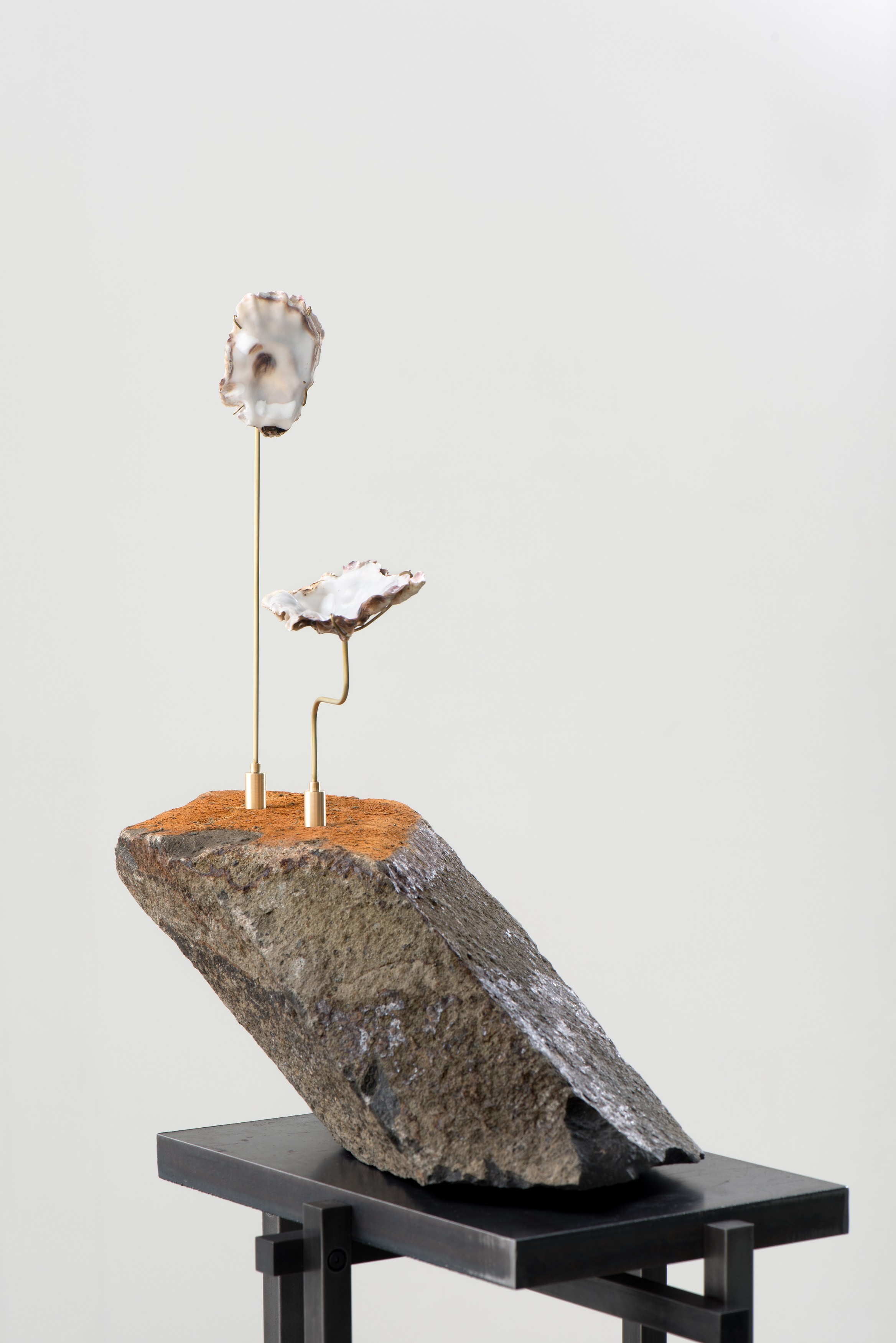 Deep Time, Deep Time at Moskowitz Bayse, photo 15